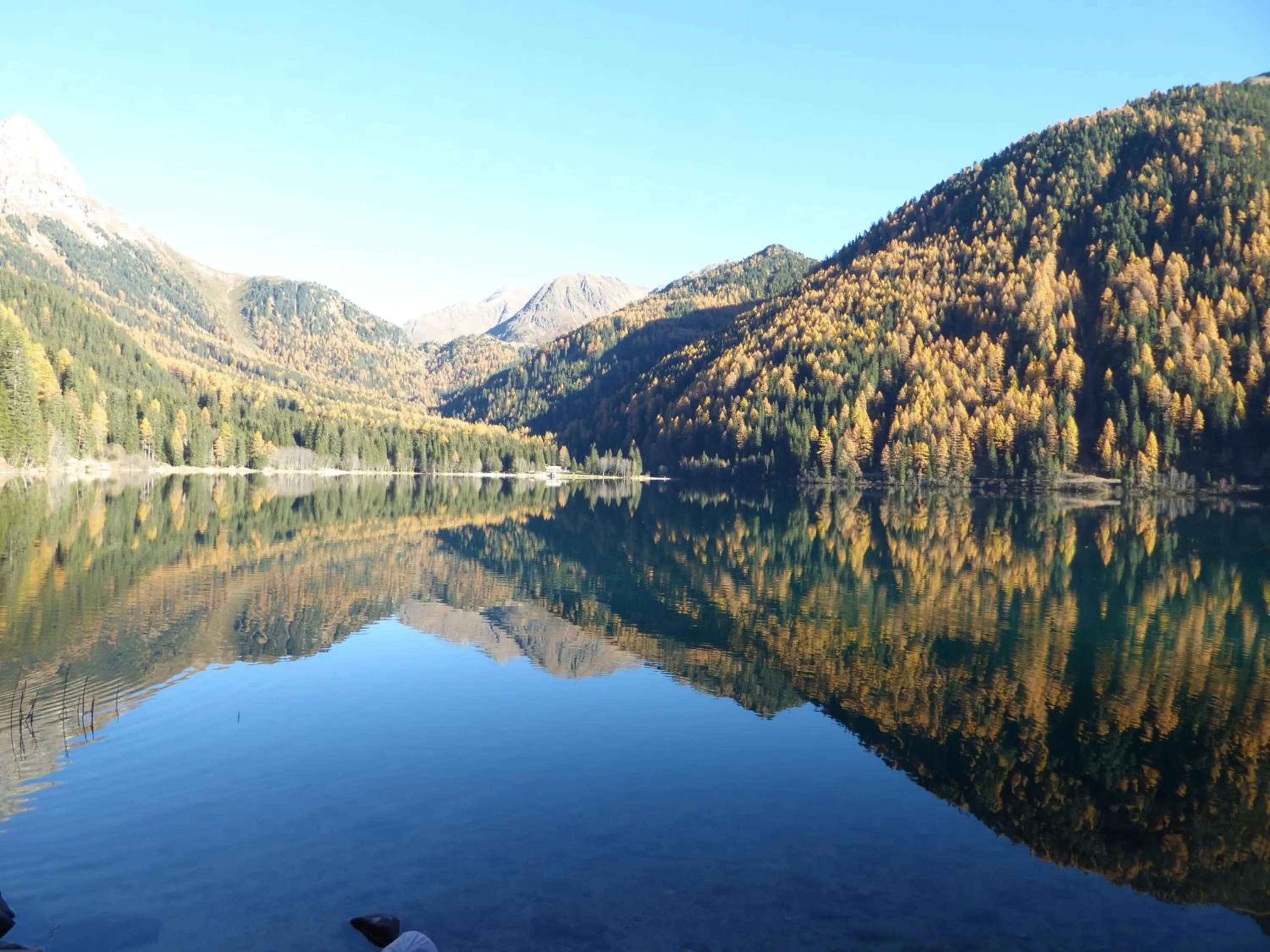 Natural landscape in Sporthotel Rasen