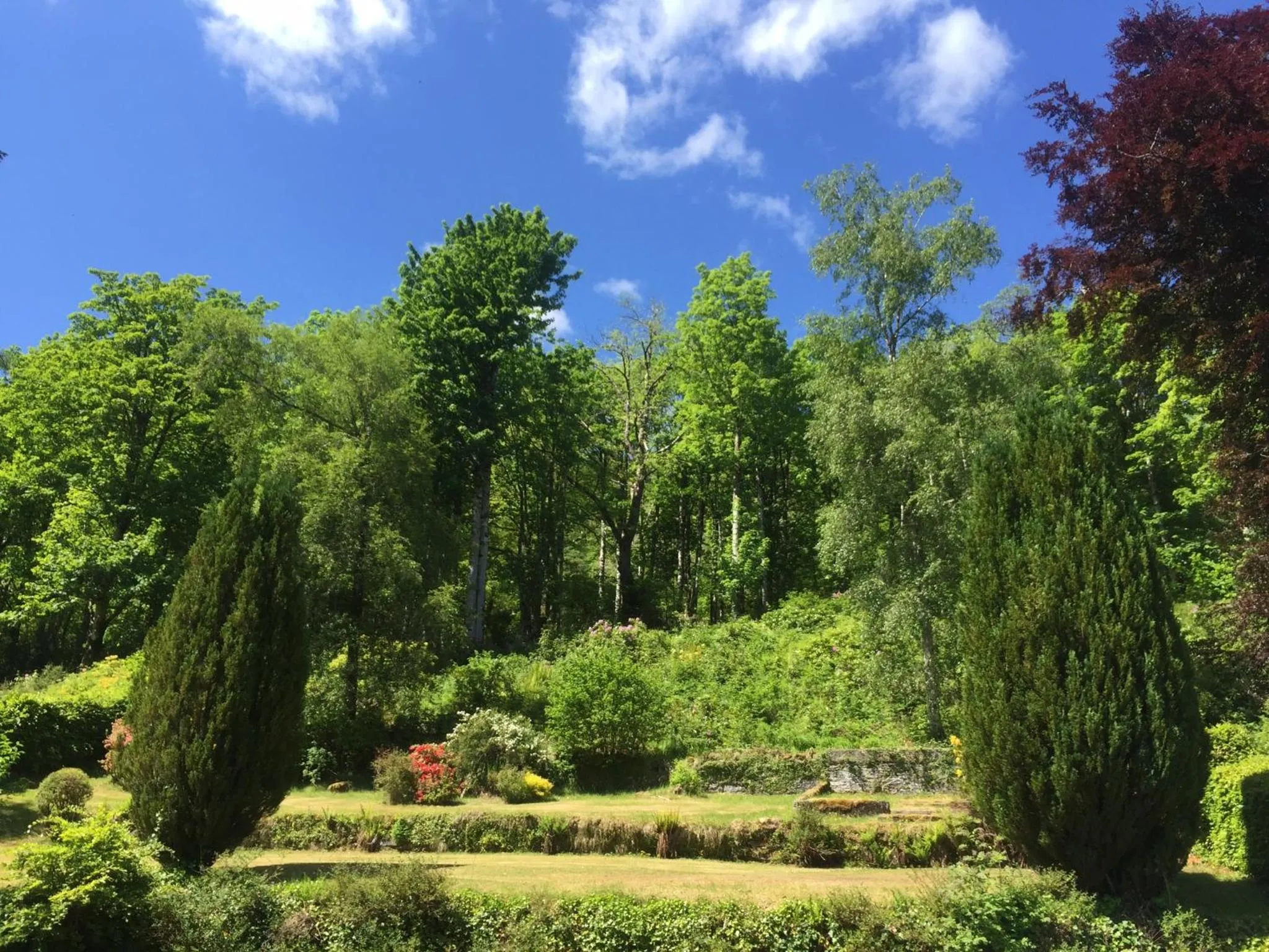 Natural landscape in Invercreran Lodge Luxury Bed & Breakfast