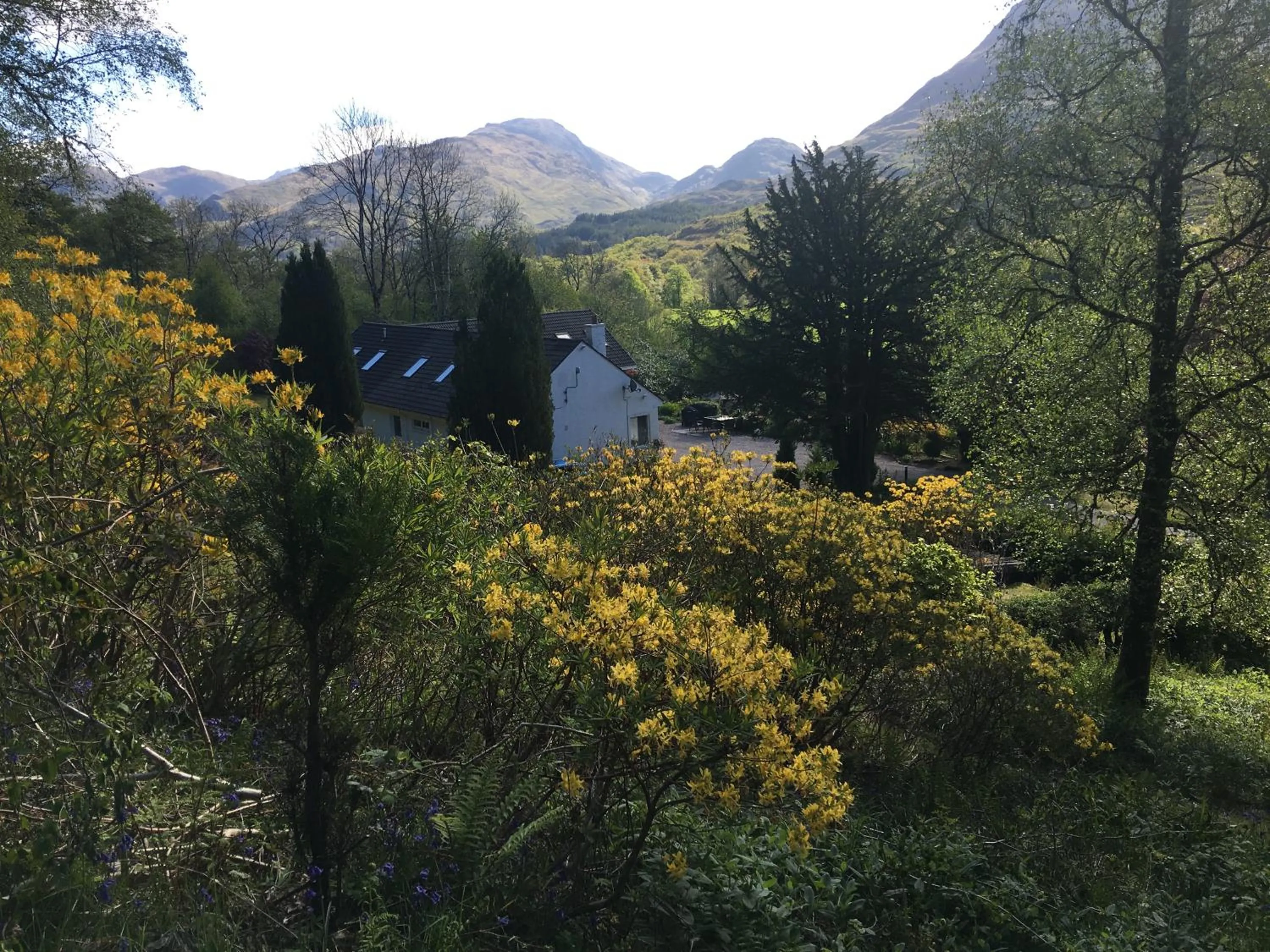 Natural landscape in Invercreran Lodge Luxury Bed & Breakfast