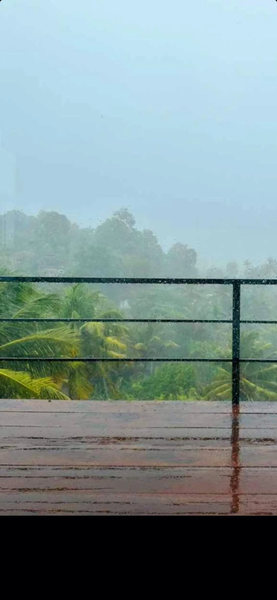 View (from property/room) in X Mirissa