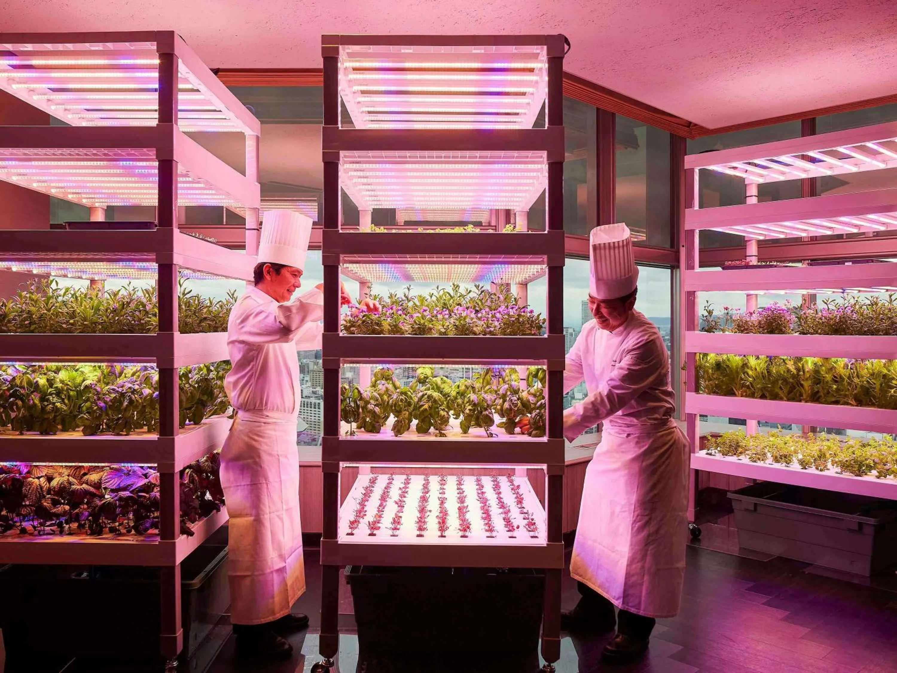 Property building in Swissotel Nankai Osaka