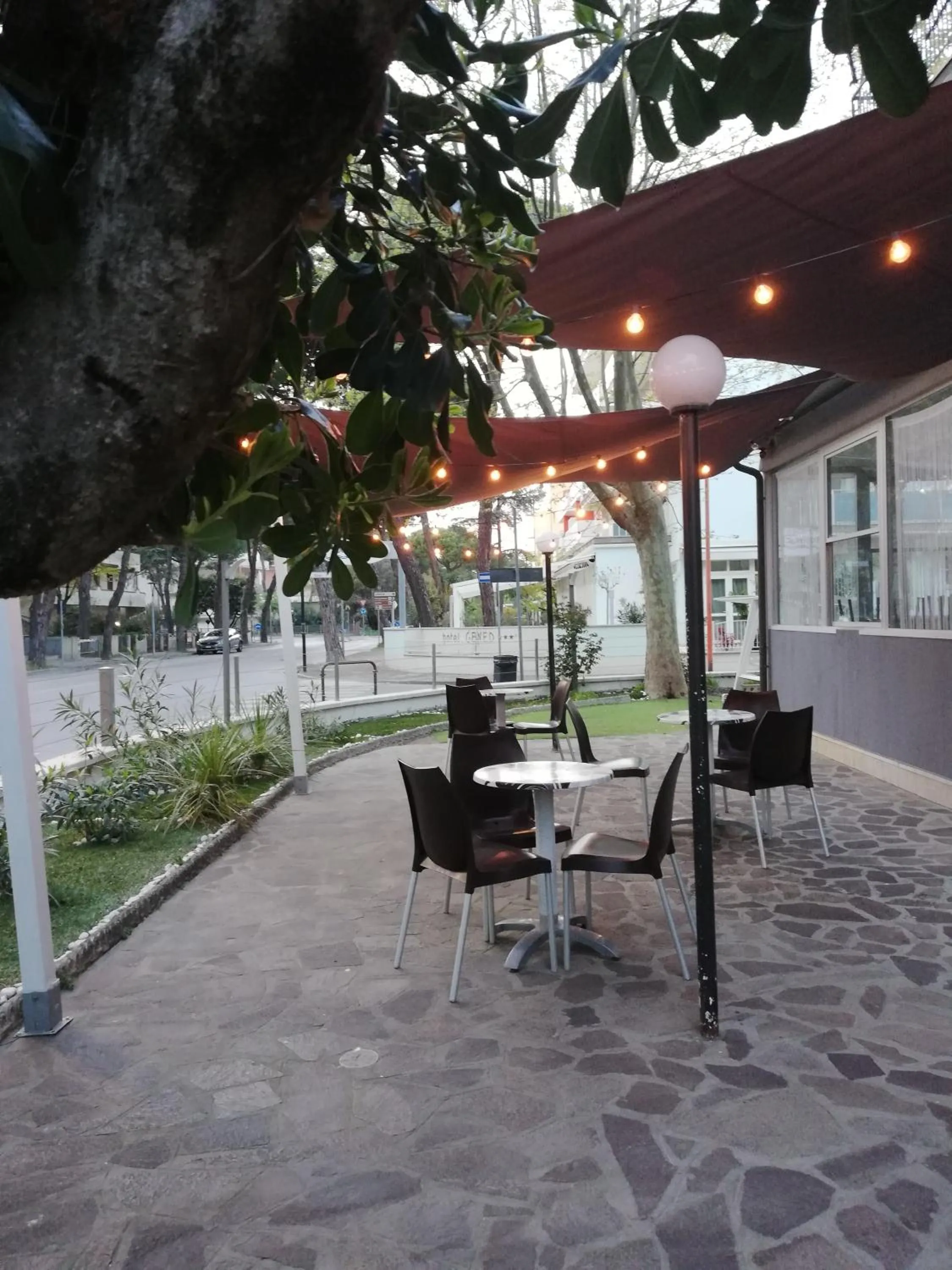 Garden in HOTEL OLIVER