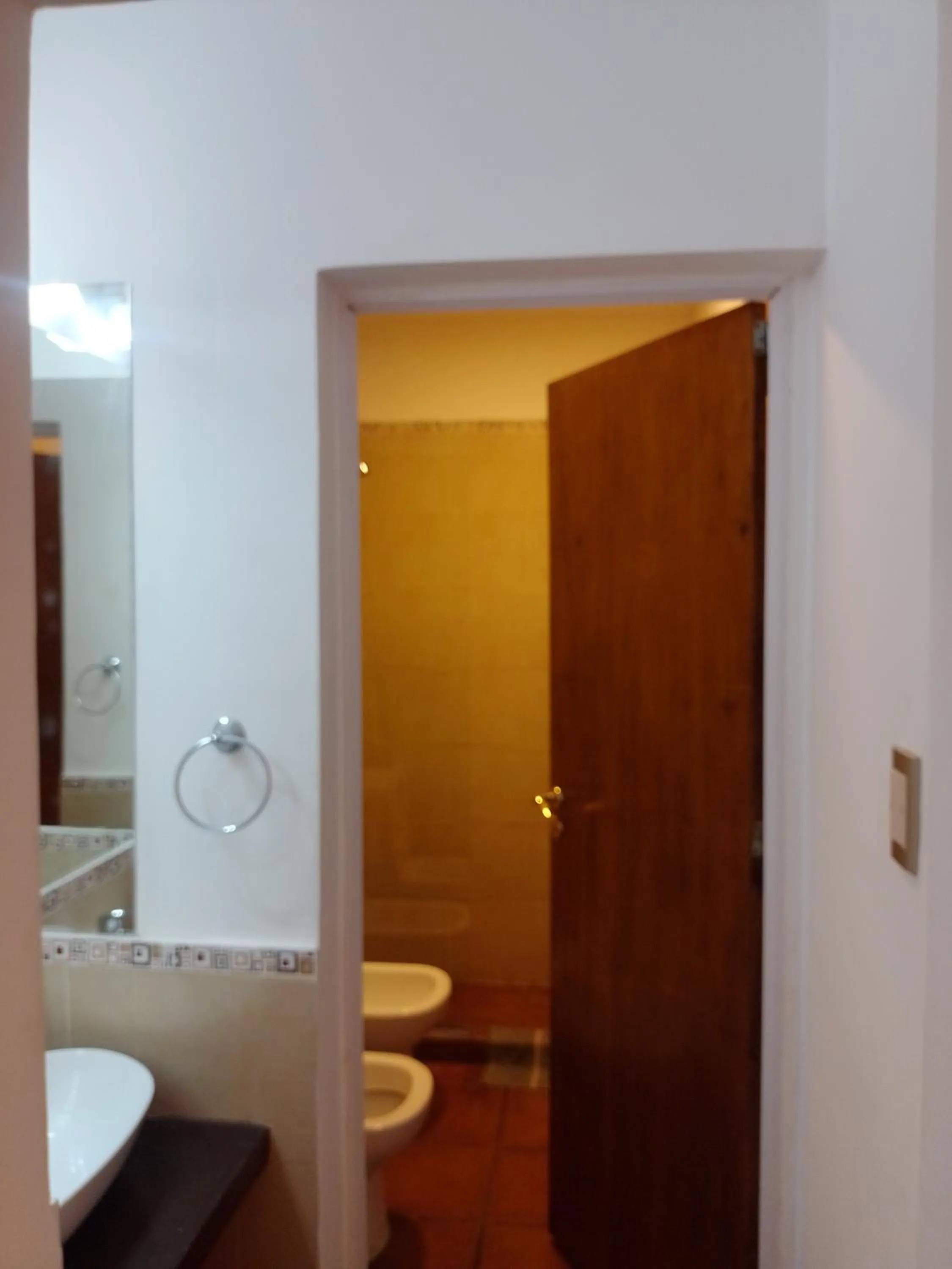 Shower in Hotel Residencial España