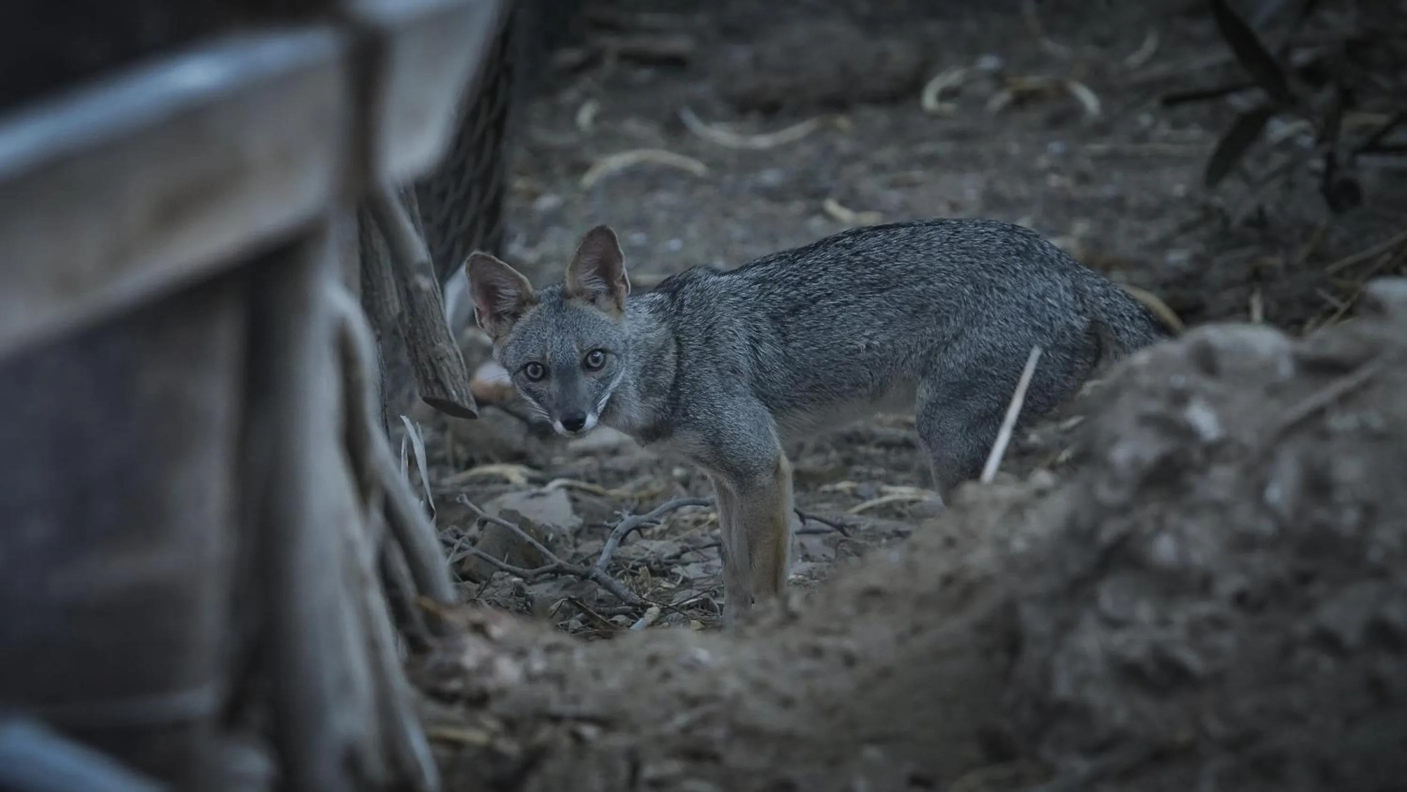 Natural landscape in Amai Luna