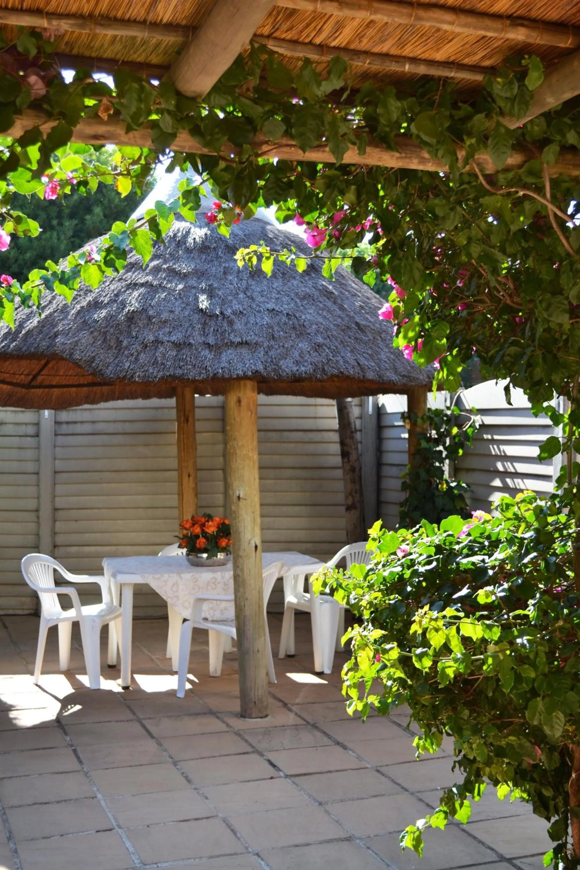 Patio in Dove's Nest Guest House