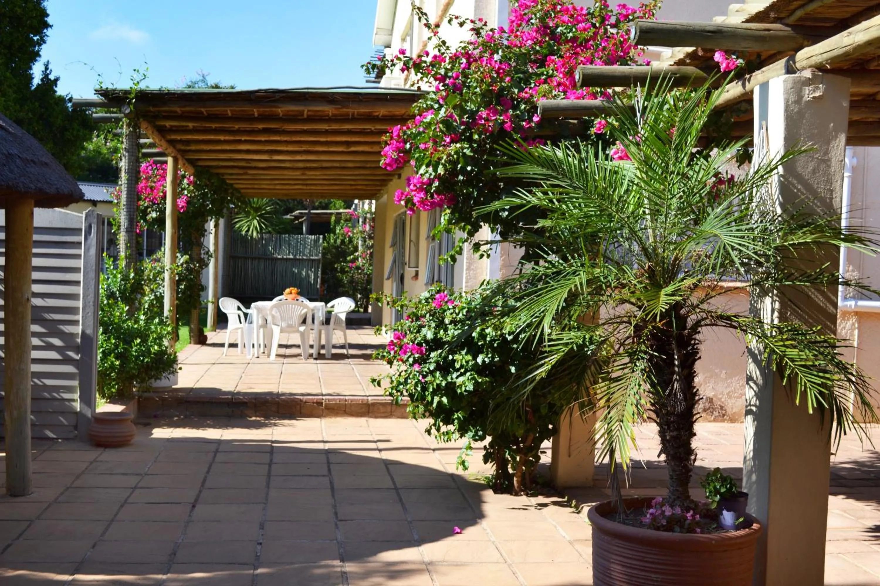 Day in Dove's Nest Guest House