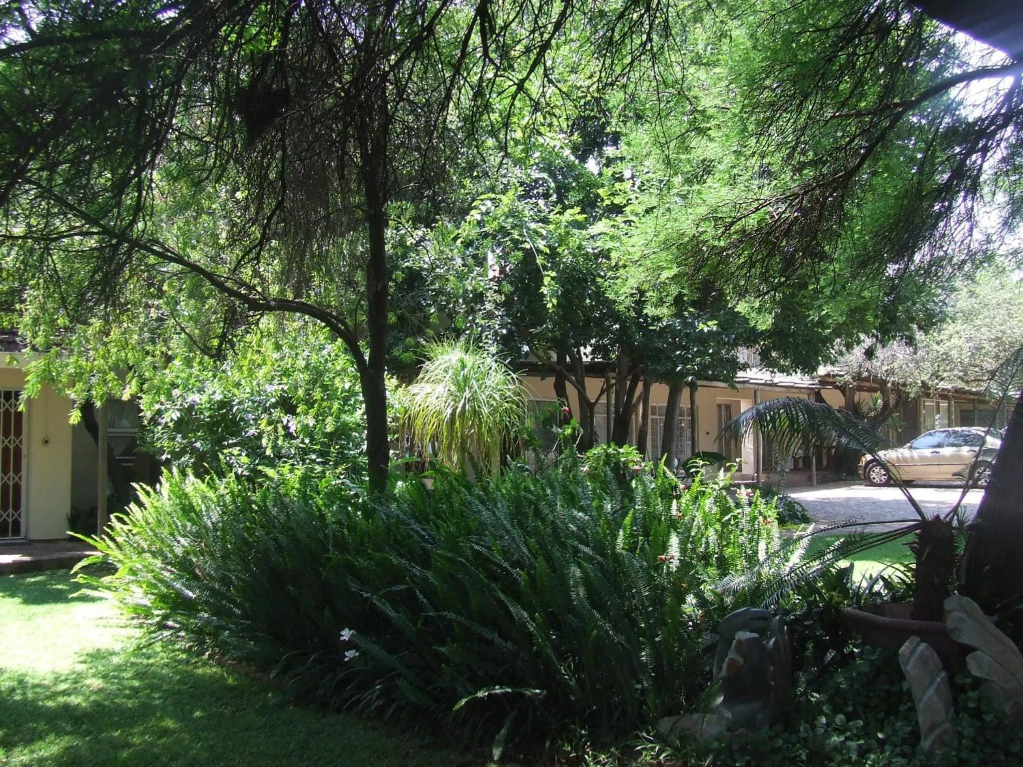 Day in Dove's Nest Guest House