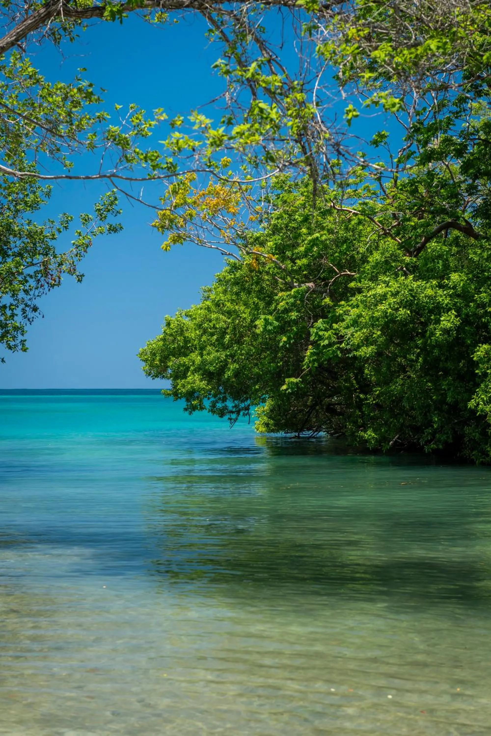 Natural landscape in Hotel Coralina Island