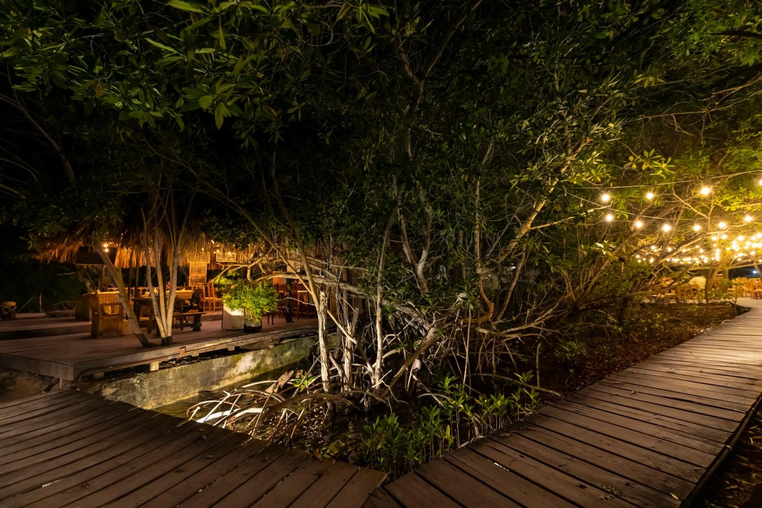 Night in Hotel Coralina Island