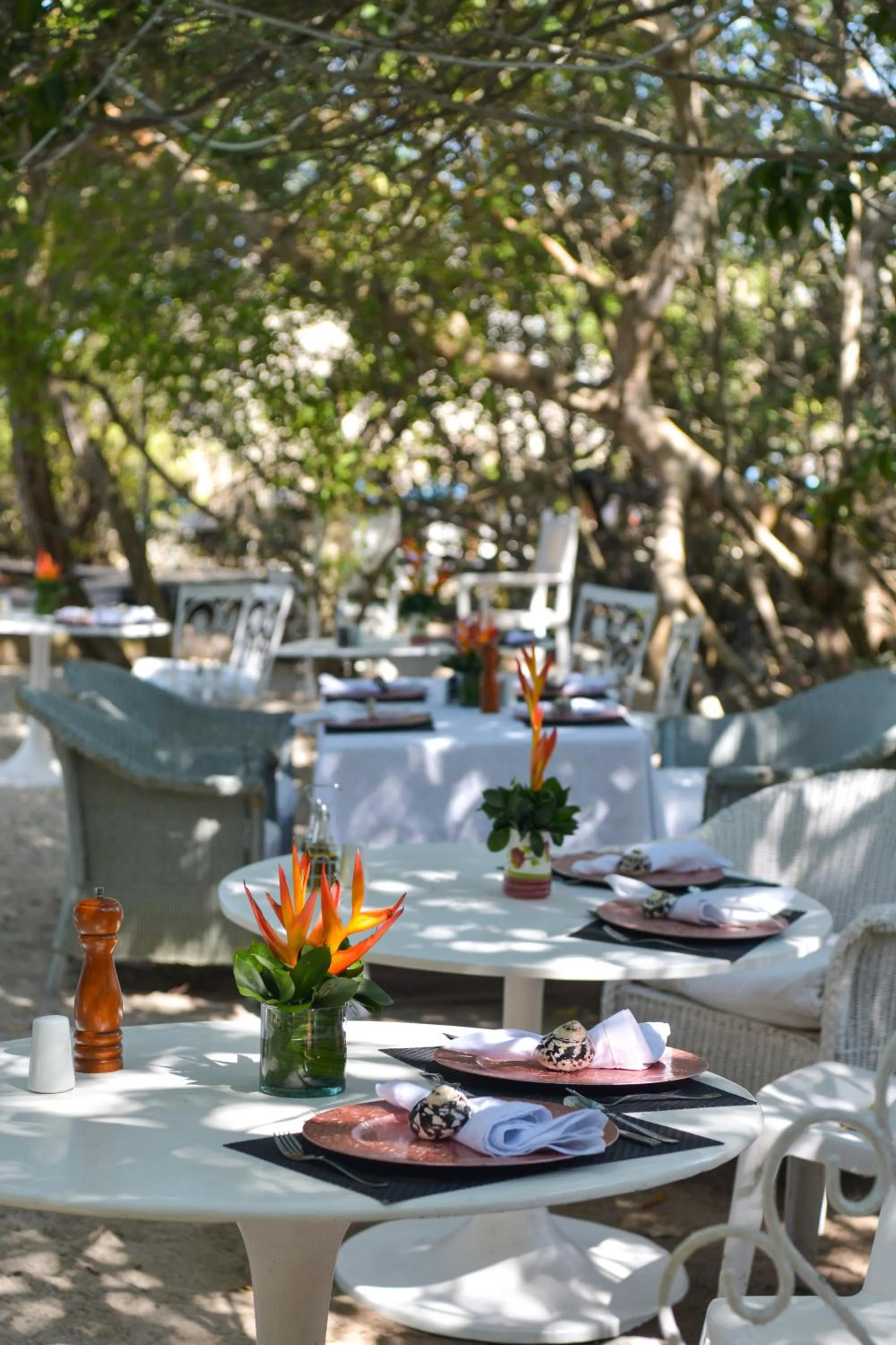 Restaurant/places to eat in Hotel Coralina Island