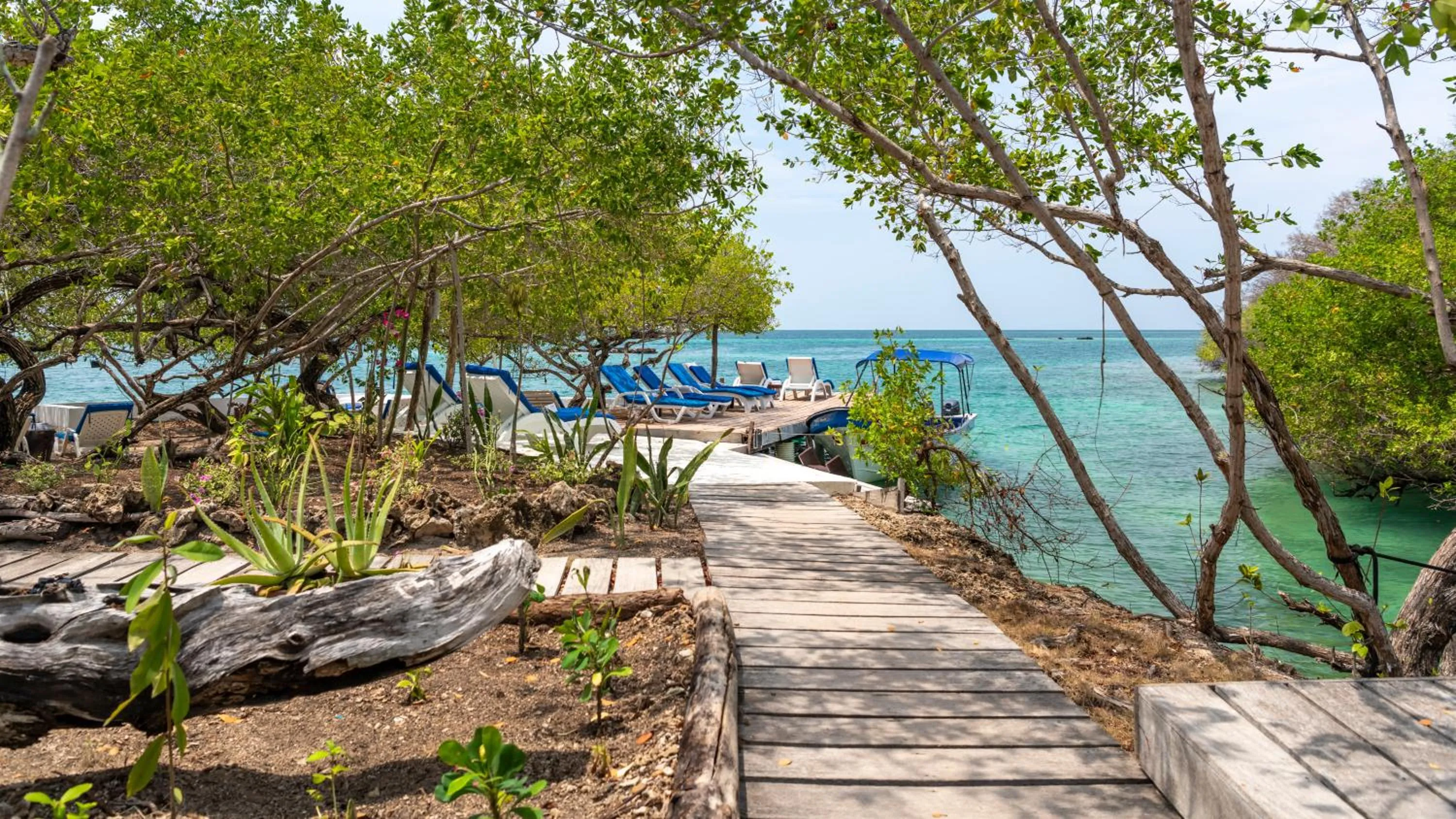 Natural landscape in Hotel Coralina Island