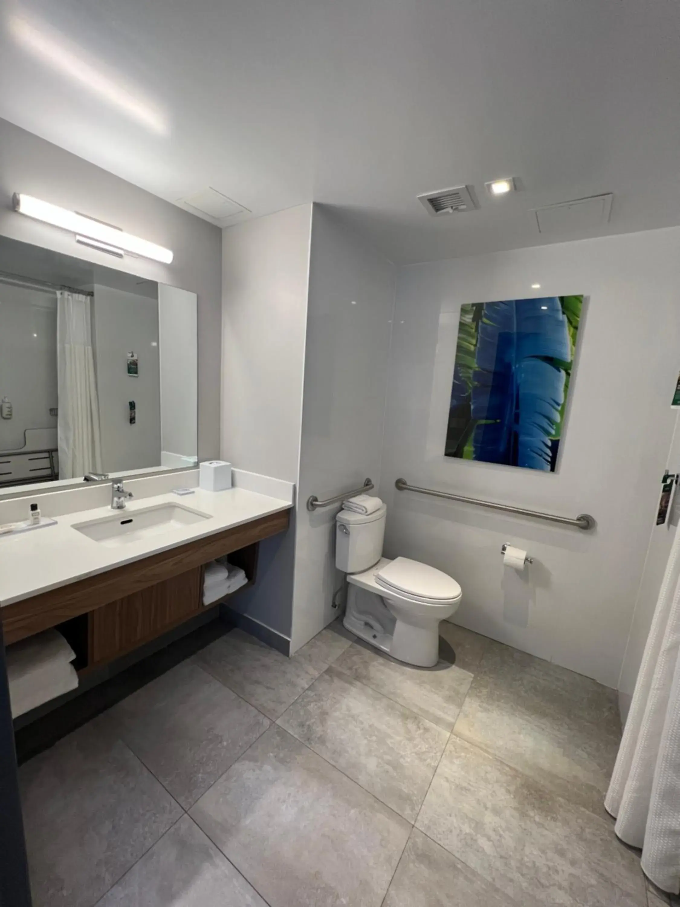 King Room with Roll-In Shower - Mobility/Hearing Accessible - Non-Smoking in Wingate by Wyndham Long Island City King Room with Roll-In Shower - Mobility/Hearing Accessible - Non-Smoking in Wingate by Wyndham Long Island City