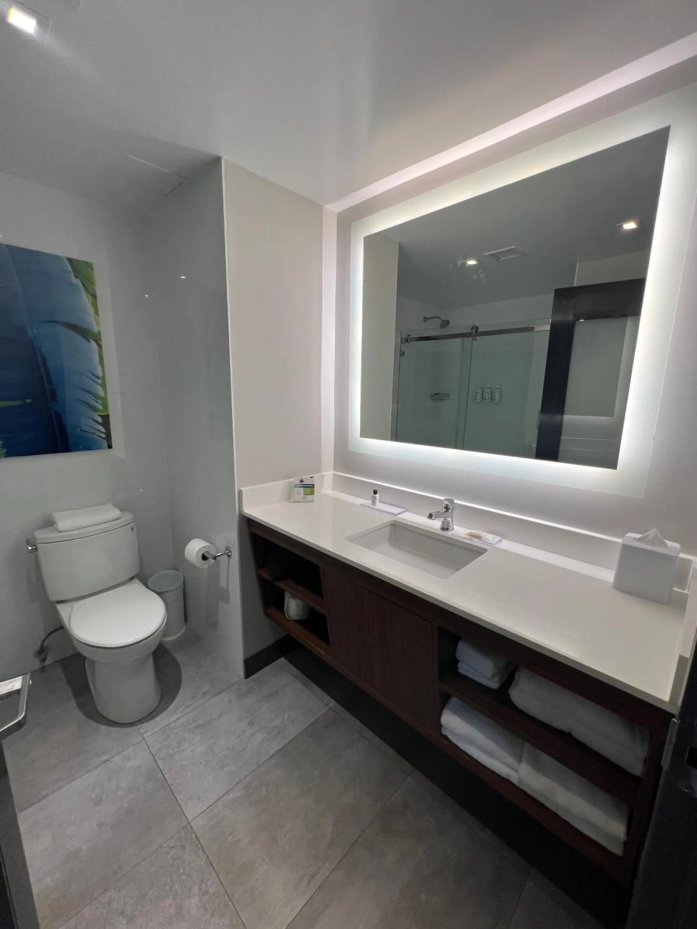 Bathroom in Wingate by Wyndham Long Island City