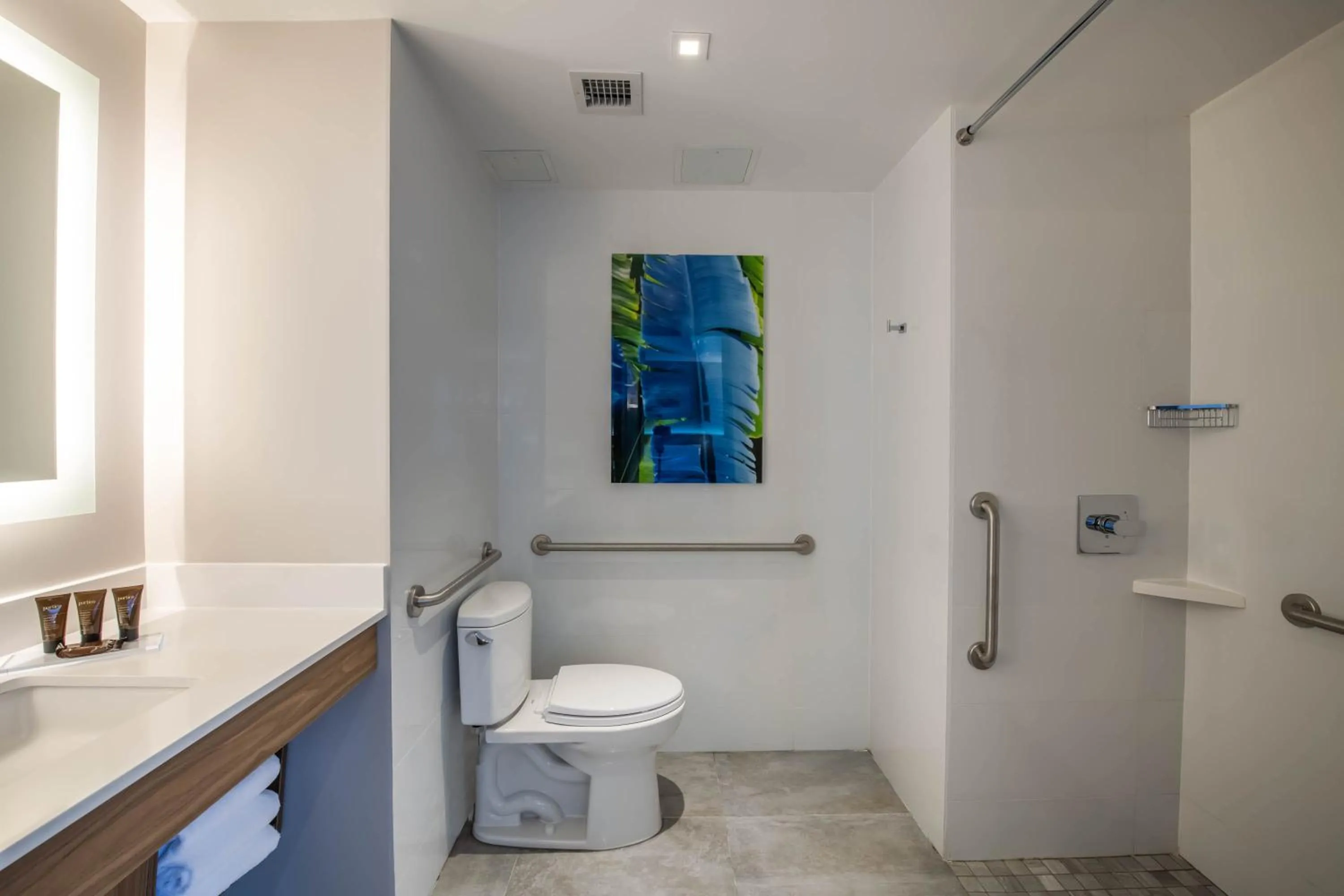 Bathroom in Wingate by Wyndham Long Island City