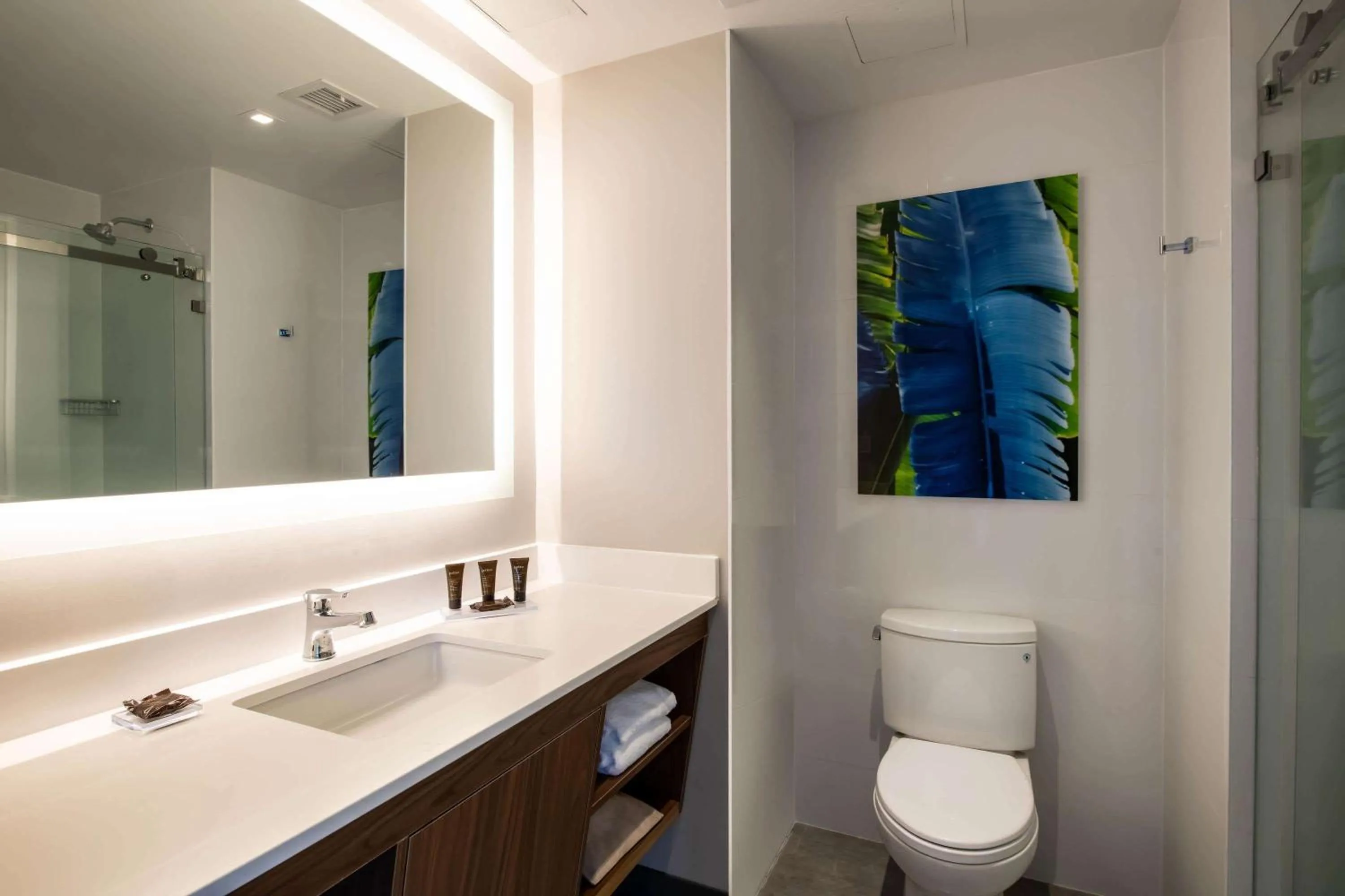 Bathroom in Wingate by Wyndham Long Island City