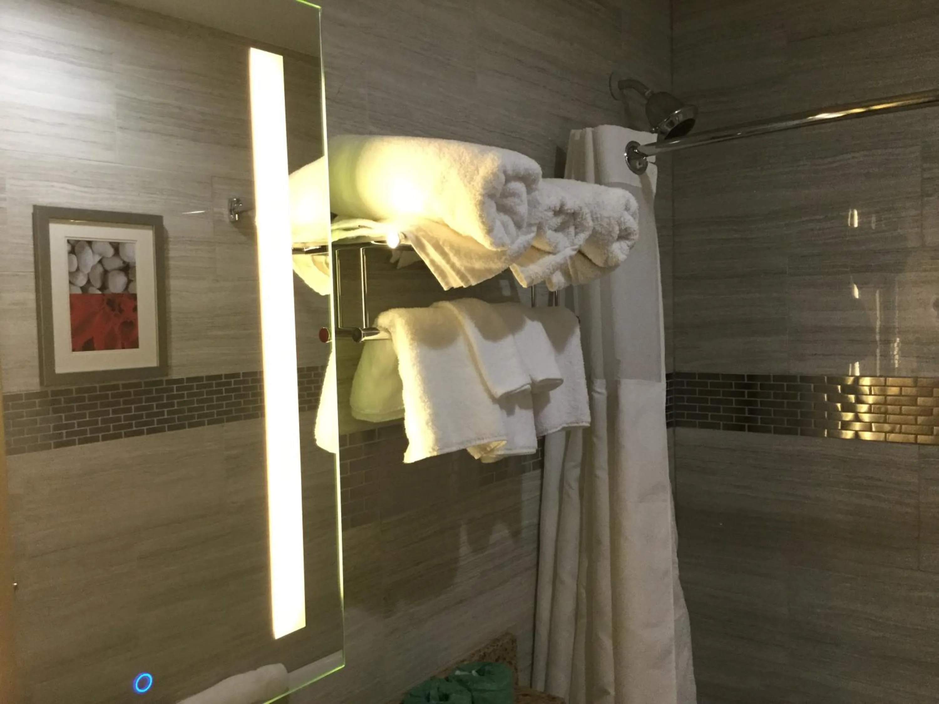 Shower in Ramada by Wyndham Bronx Terminal