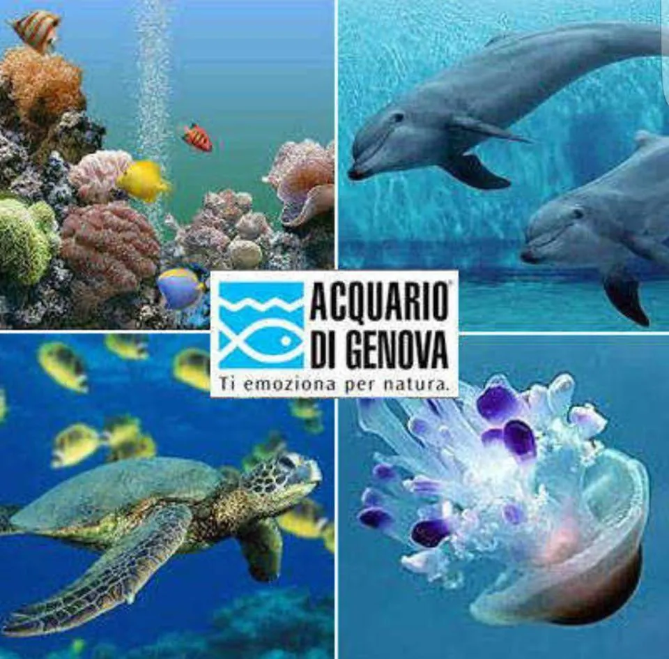 Activities in Hotel Nuovo Nord