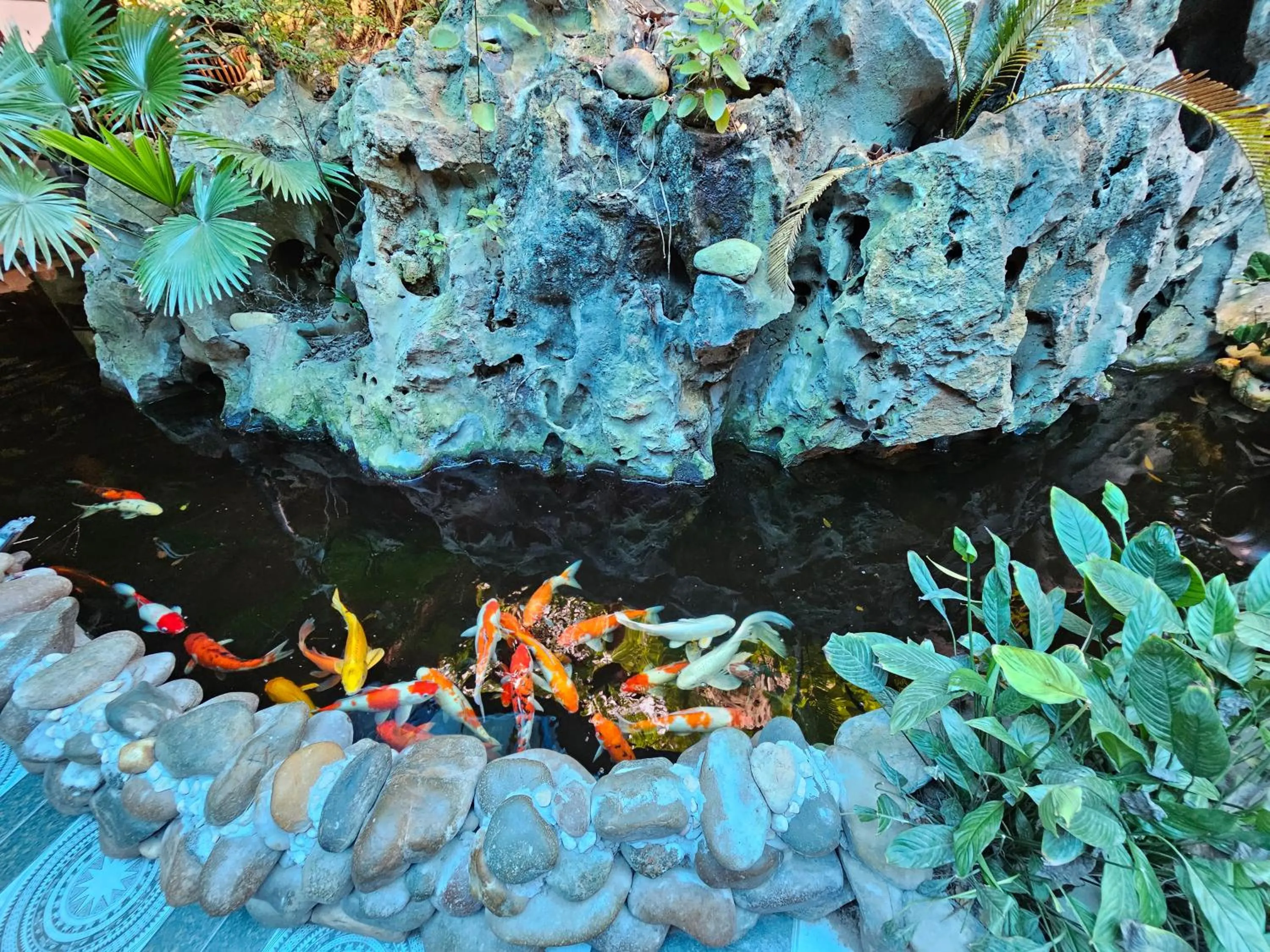 On site in Trang An Lotus Lake Homestay