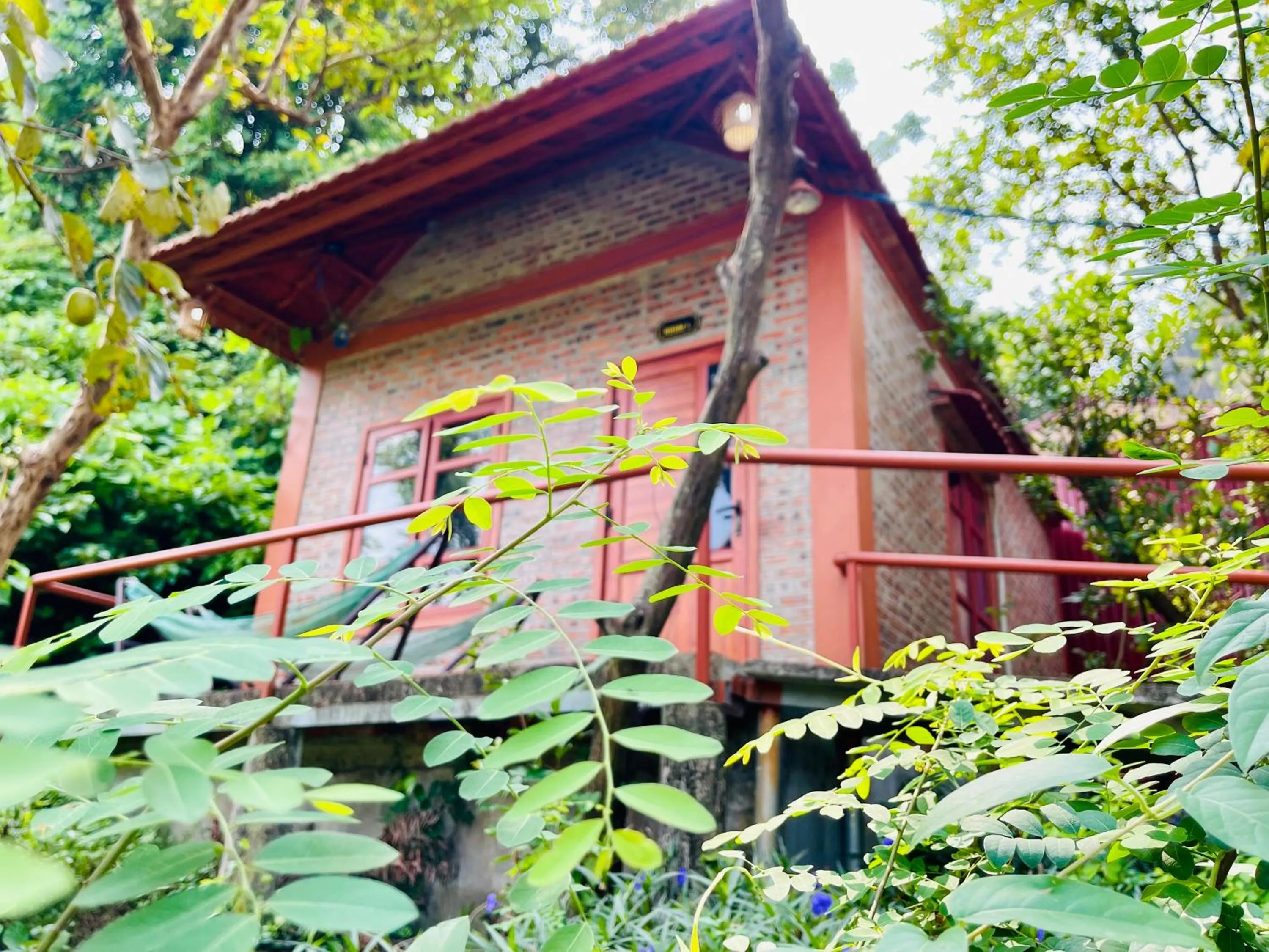 Property building in Trang An Lotus Lake Homestay