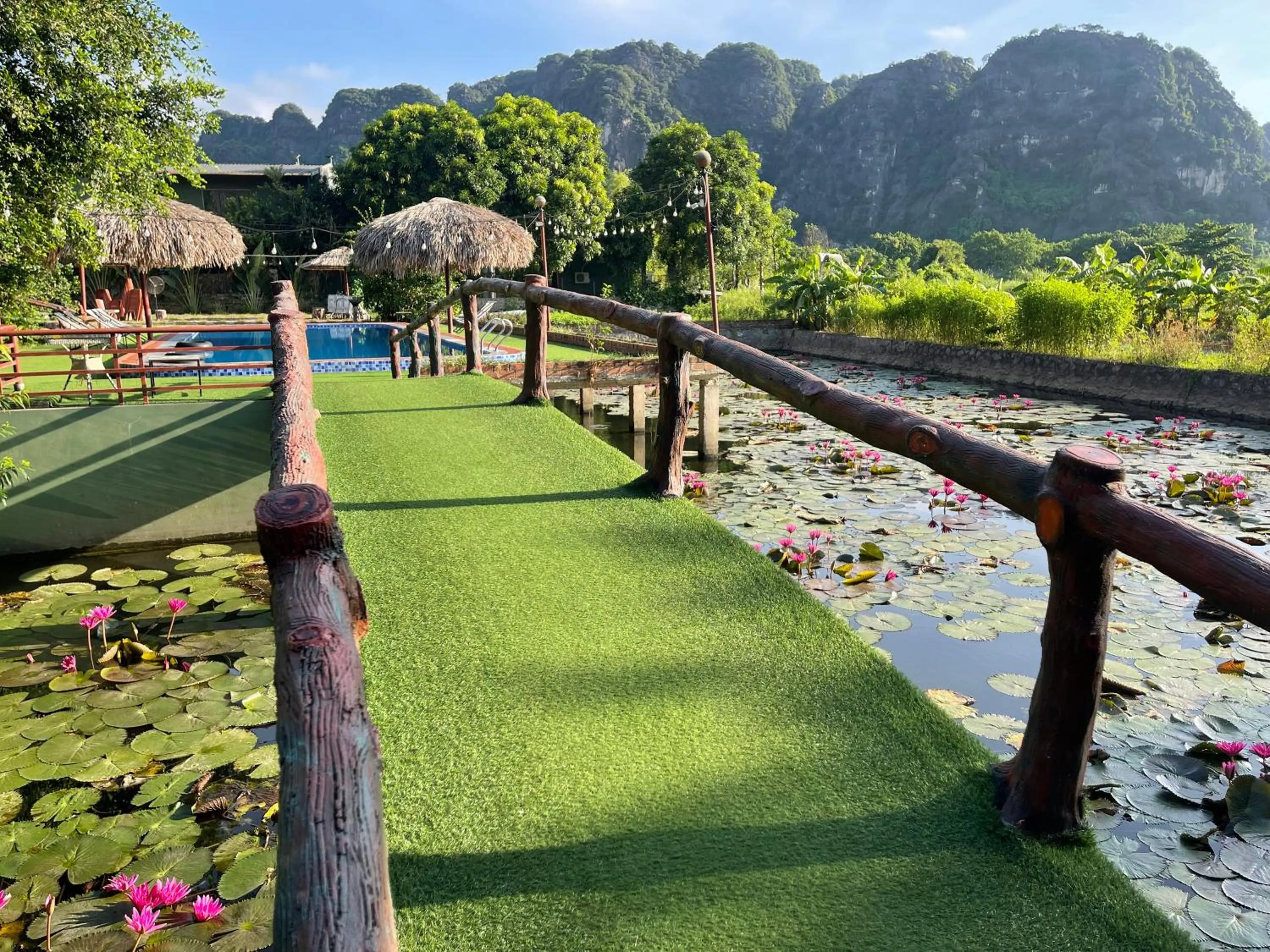 Pool view in Trang An Lotus Lake Homestay