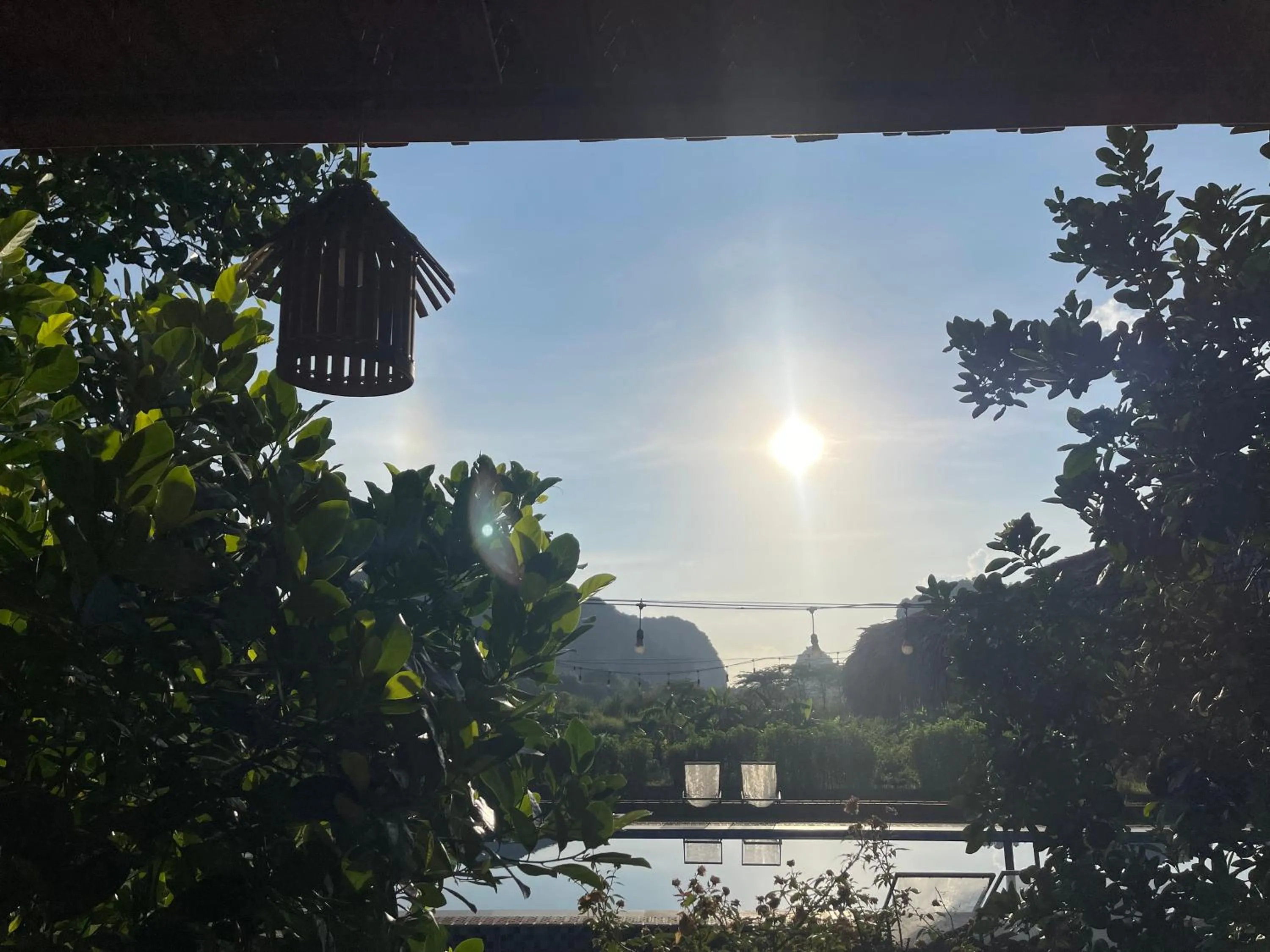 Day in Trang An Lotus Lake Homestay