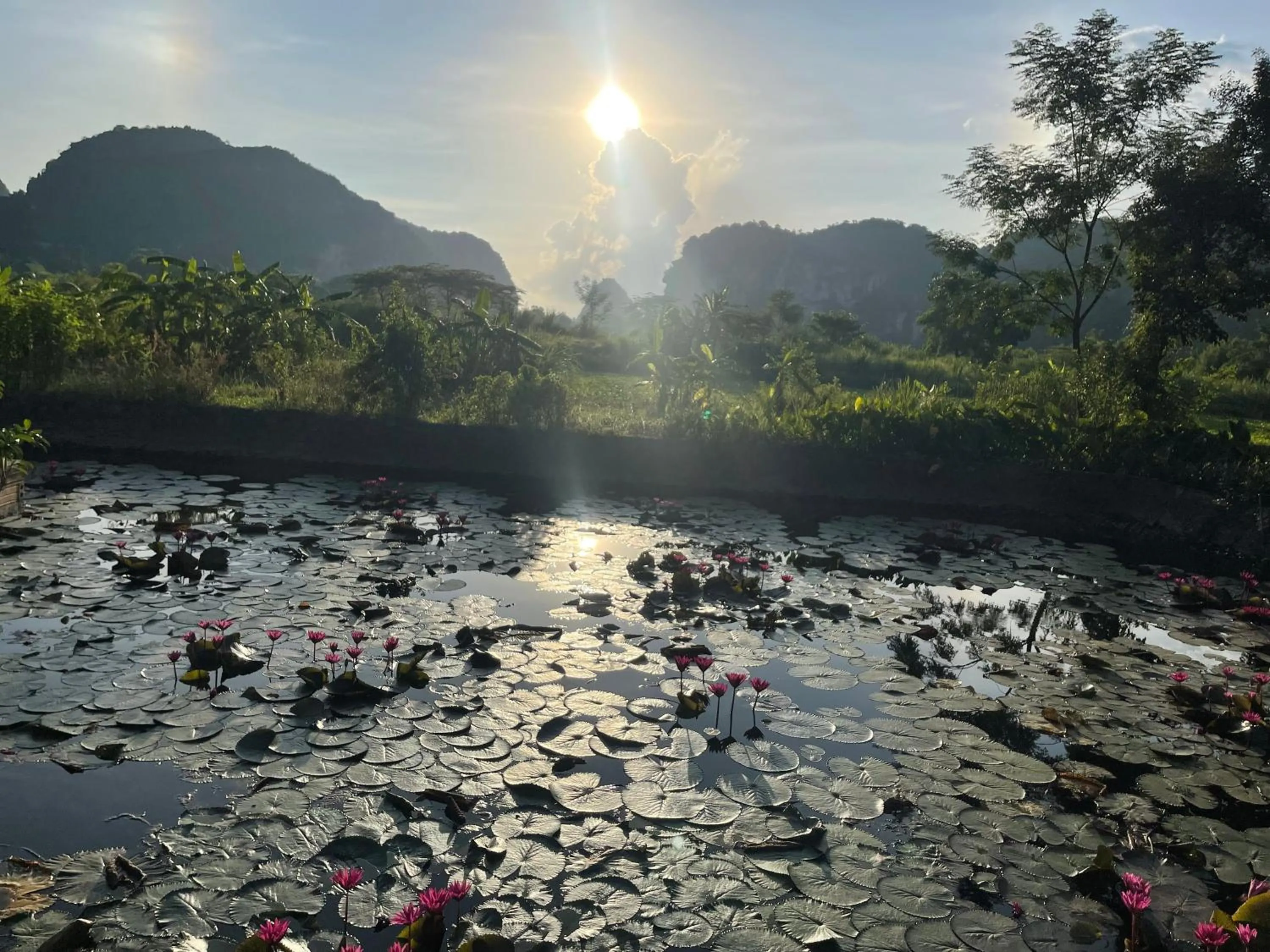 Lake view in Trang An Lotus Lake Homestay