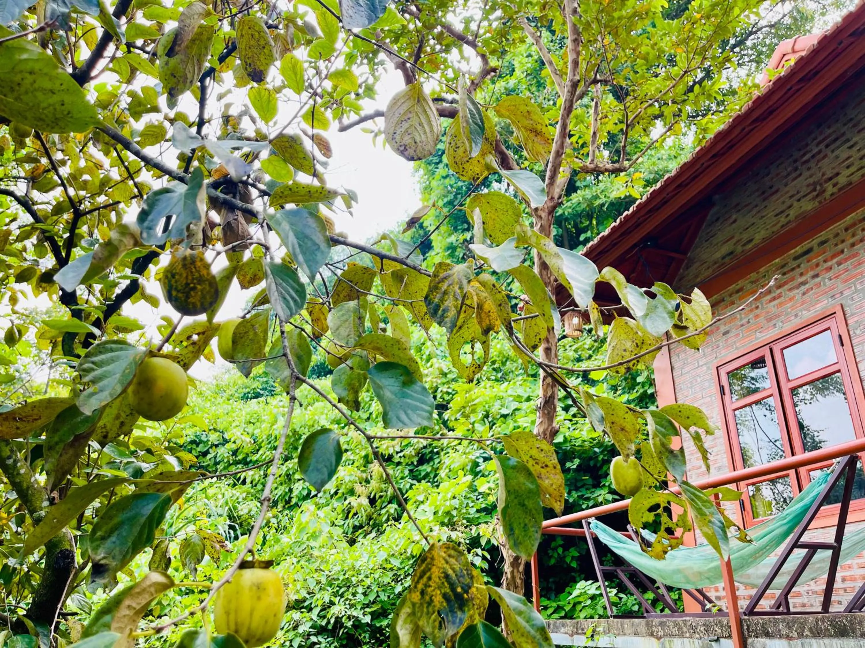 Day in Trang An Lotus Lake Homestay