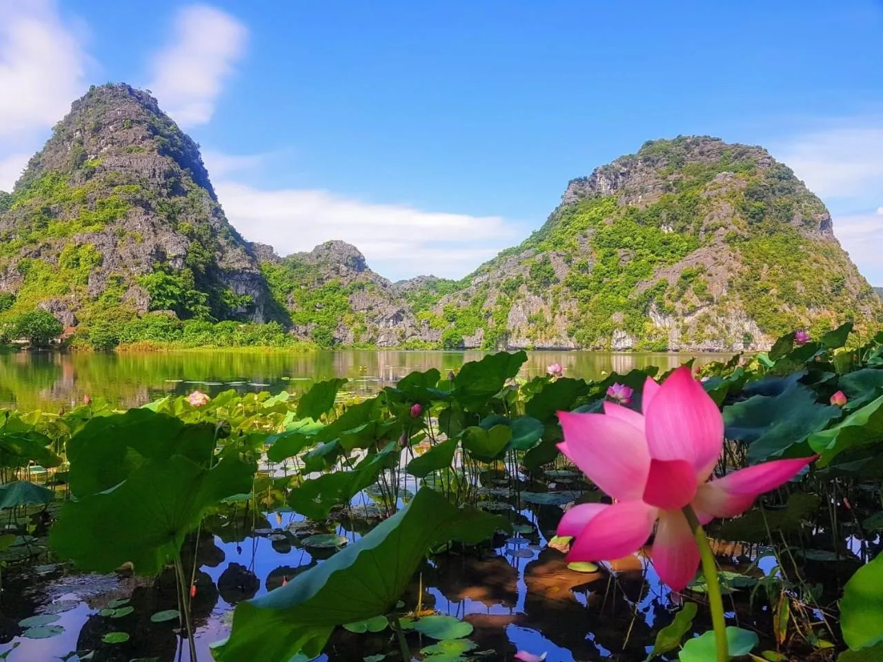 Nearby landmark in Trang An Lotus Lake Homestay