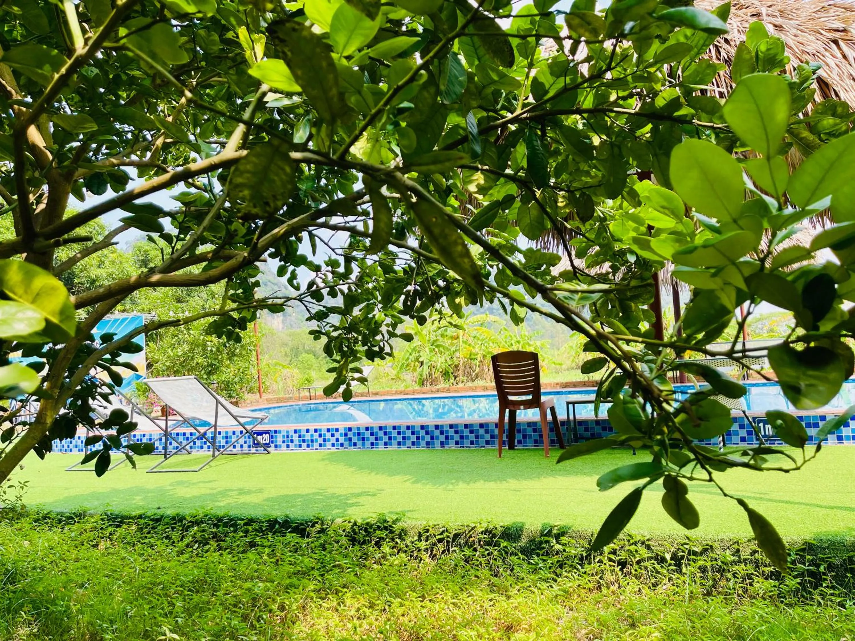 Natural landscape in Trang An Lotus Lake Homestay