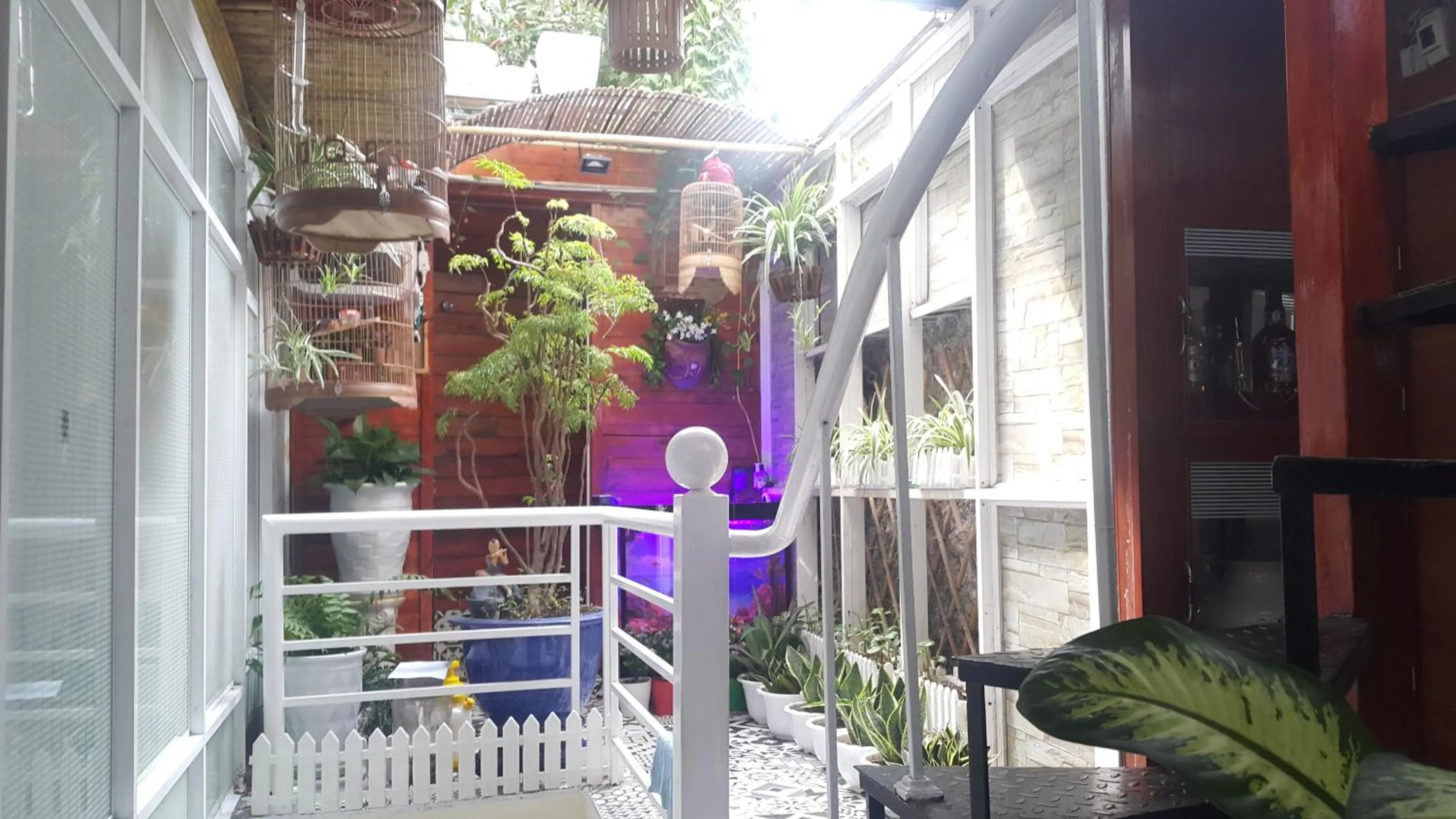 Green Homestay