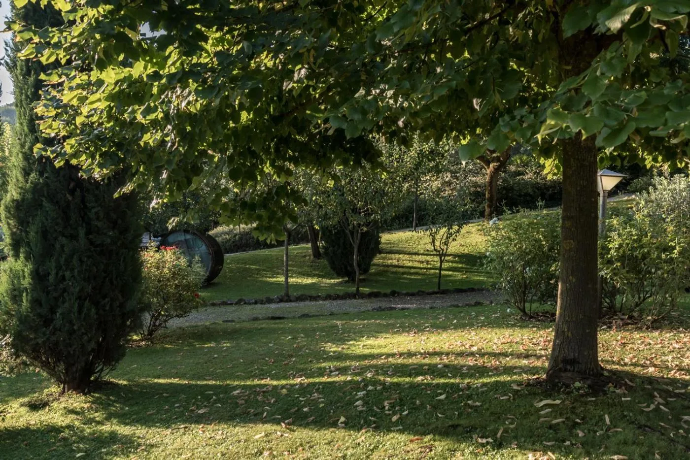 Garden in Borgo Al Cerro