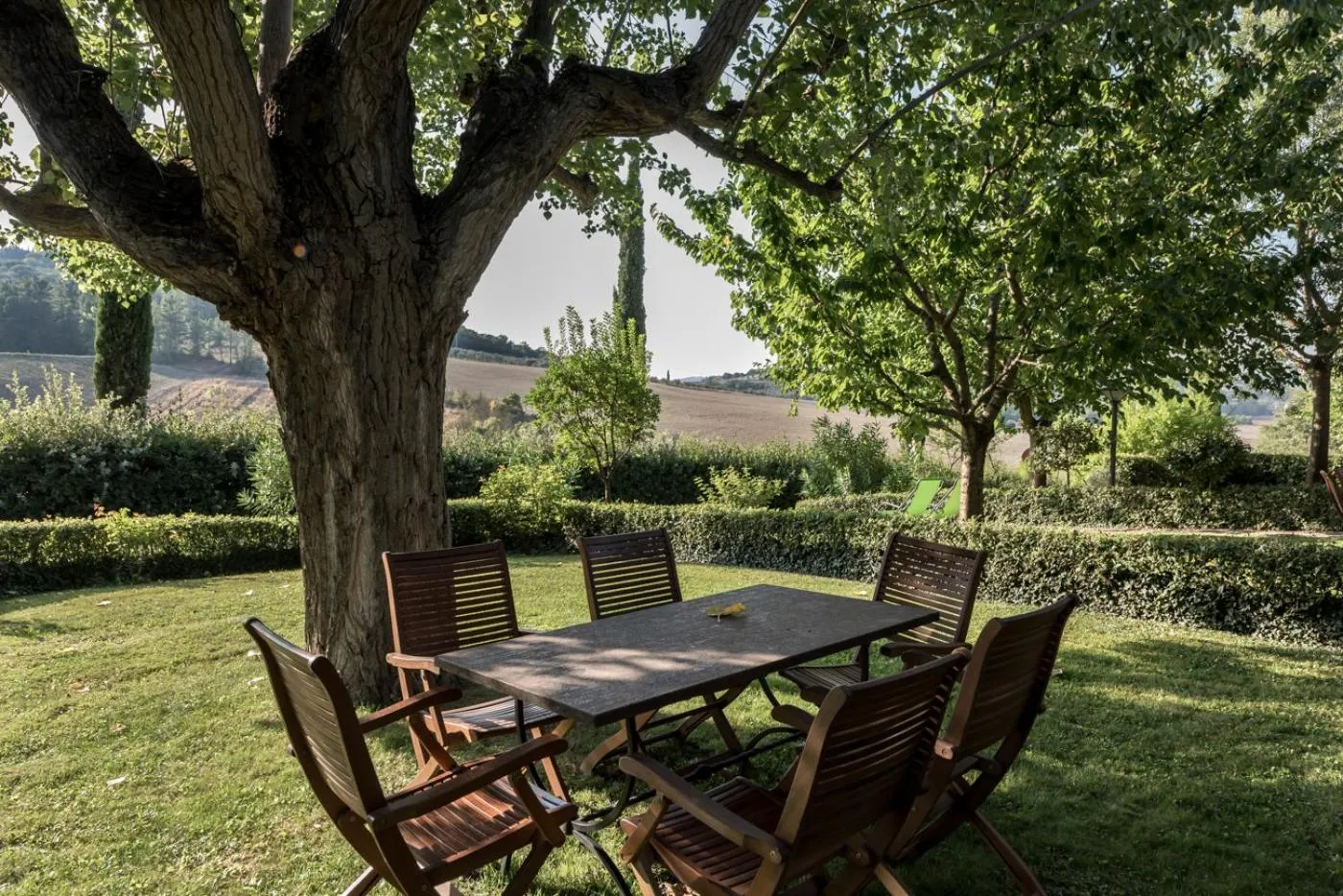 Garden in Borgo Al Cerro