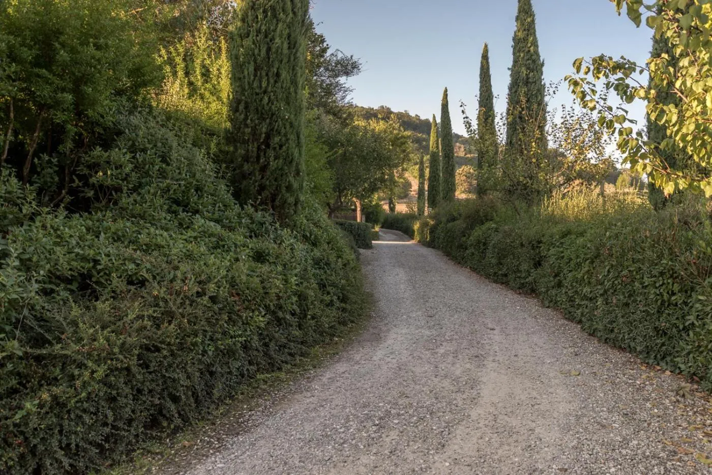 Garden in Borgo Al Cerro