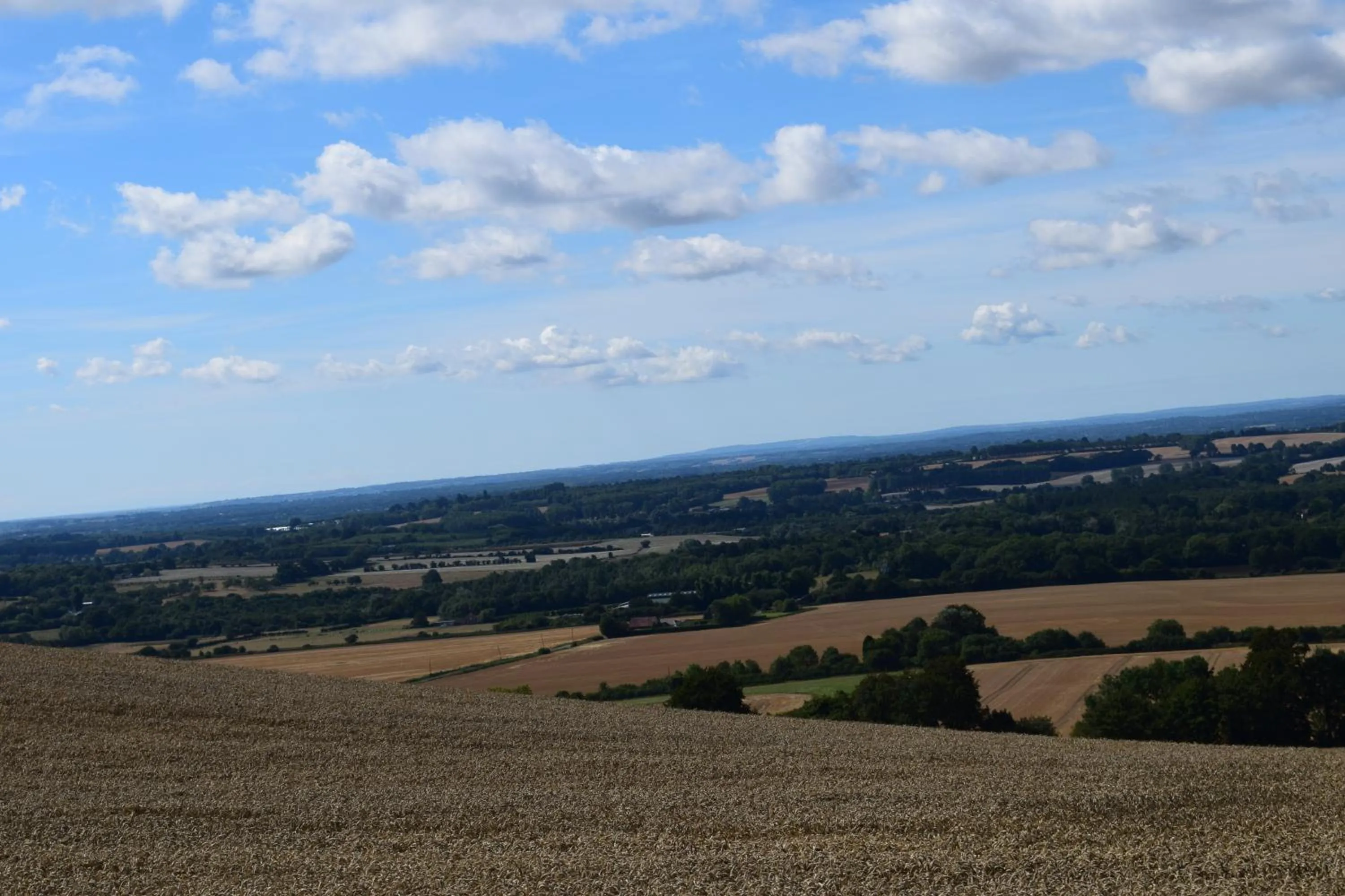Spring in The Plough Inn