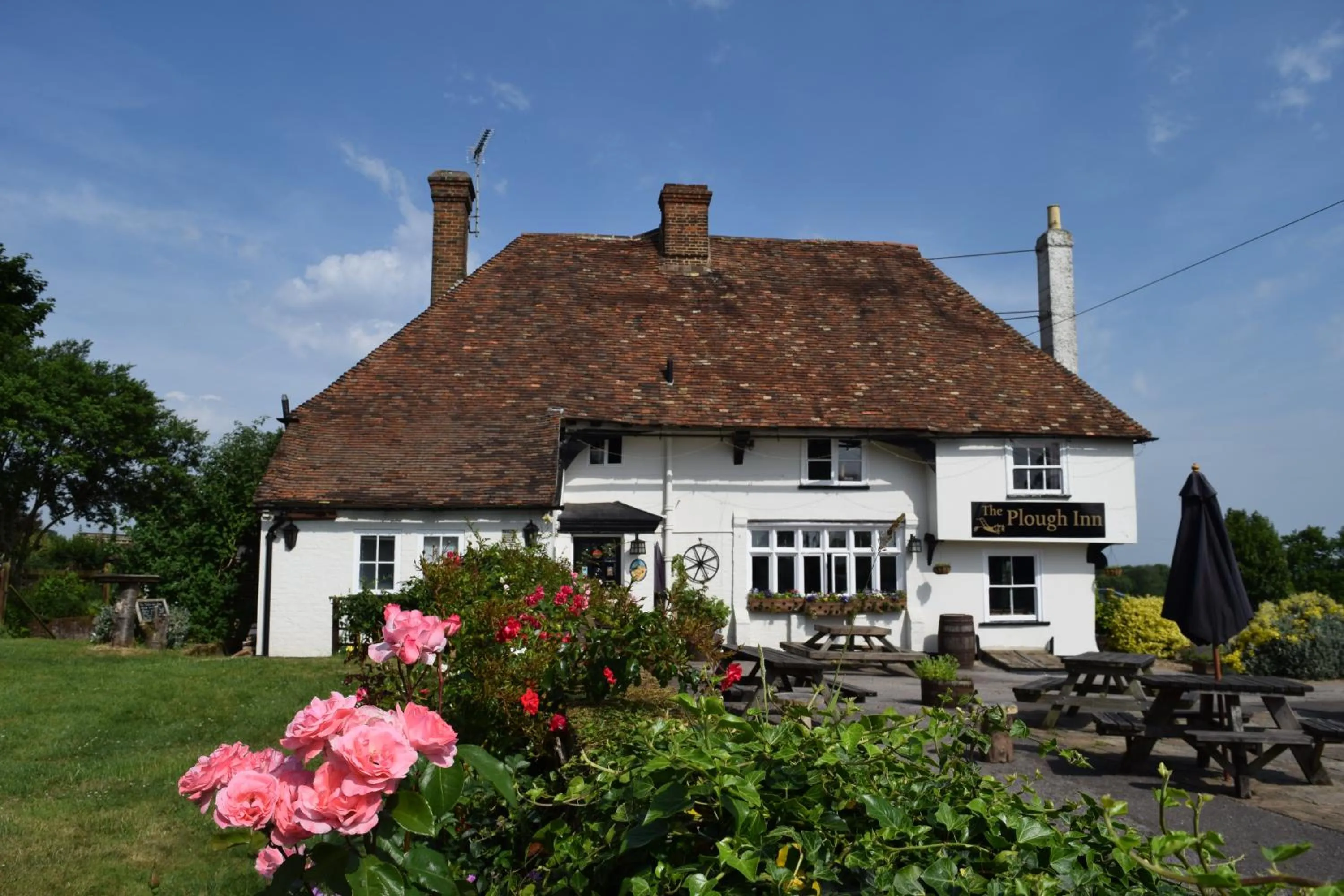 Restaurant/places to eat in The Plough Inn