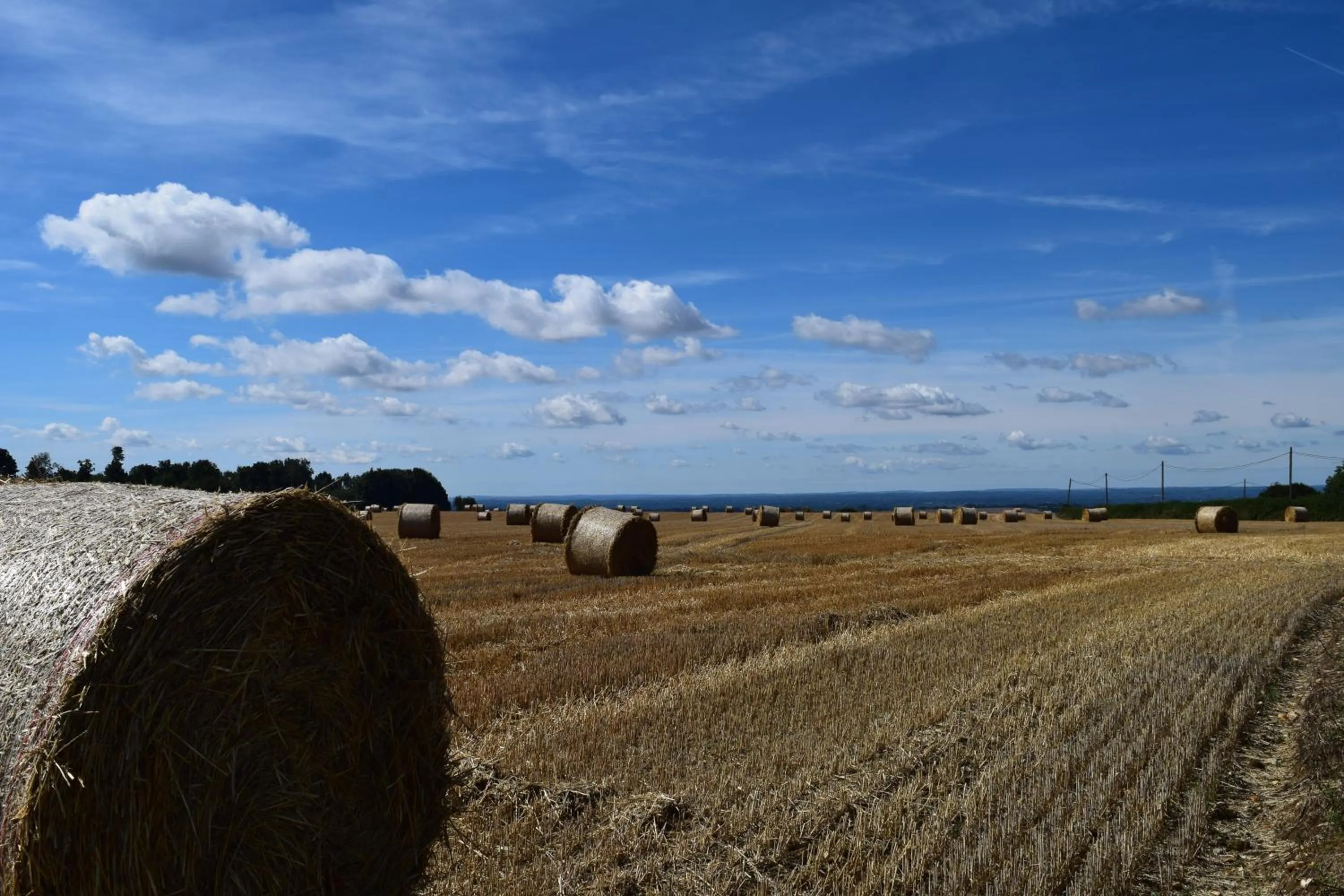 Off site in The Plough Inn