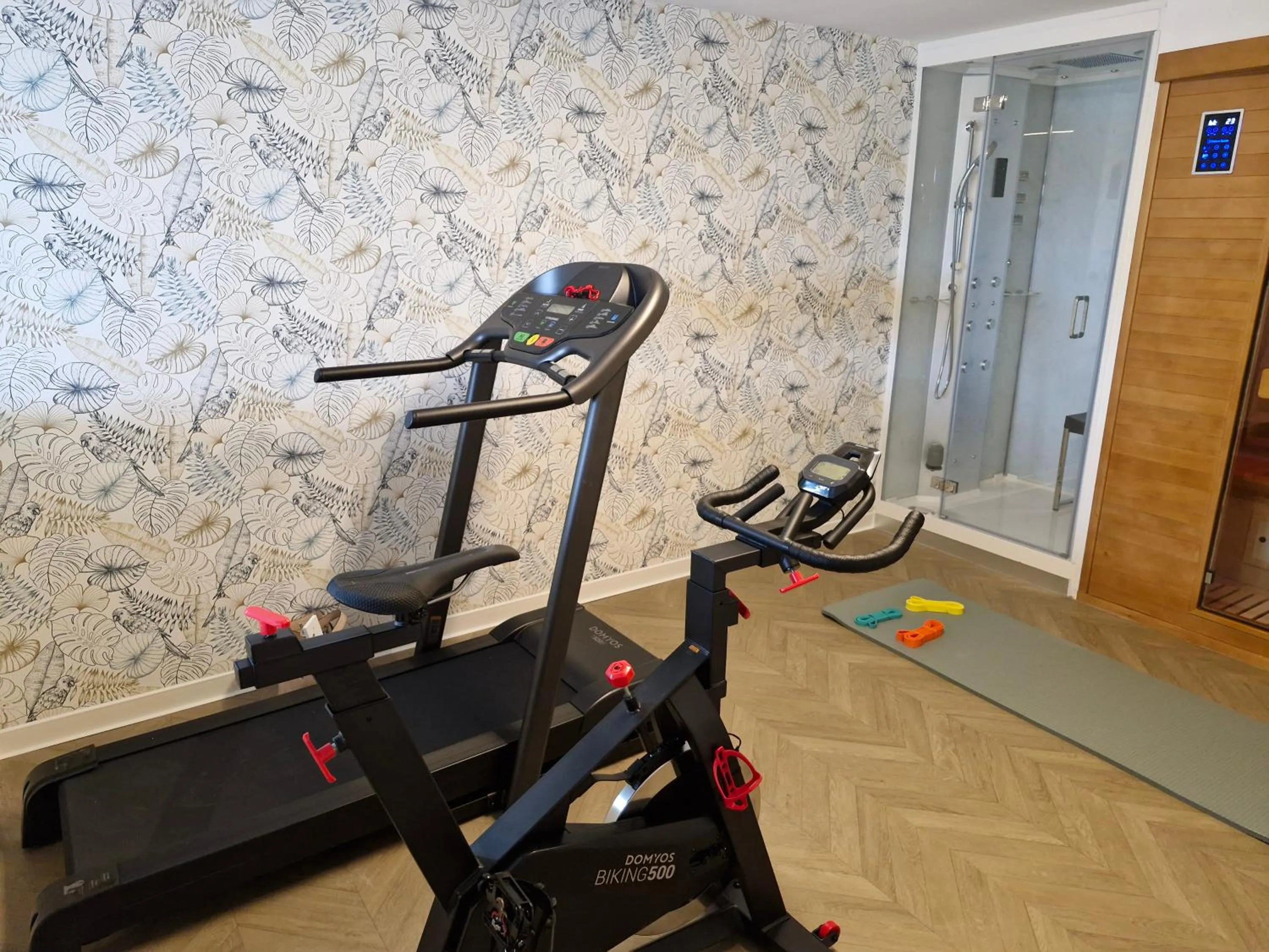 Fitness centre/facilities in Kyriad Carcassonne - Aéroport