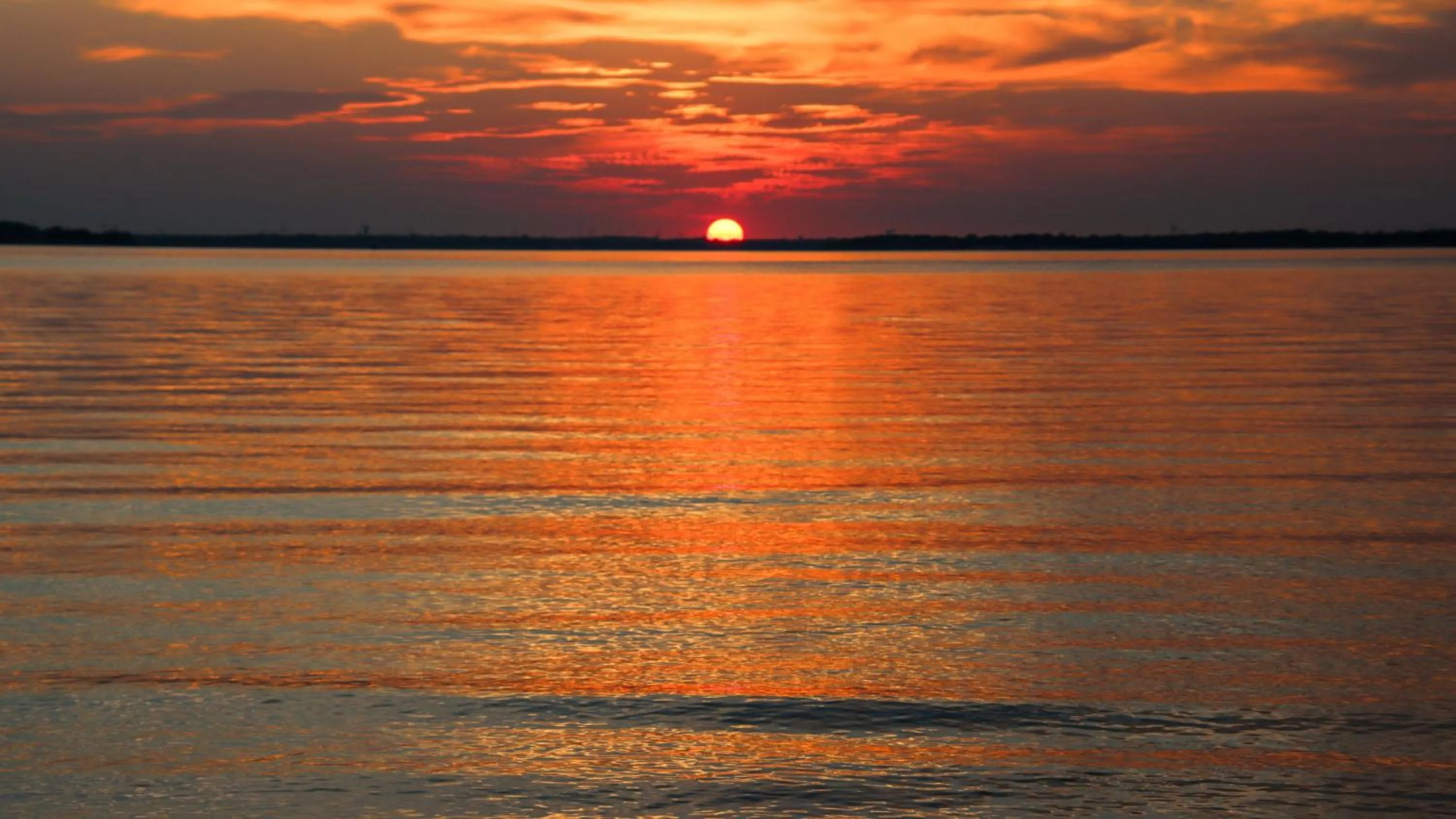 Area and facilities in Holiday Inn Express & Suites - Wylie West by IHG