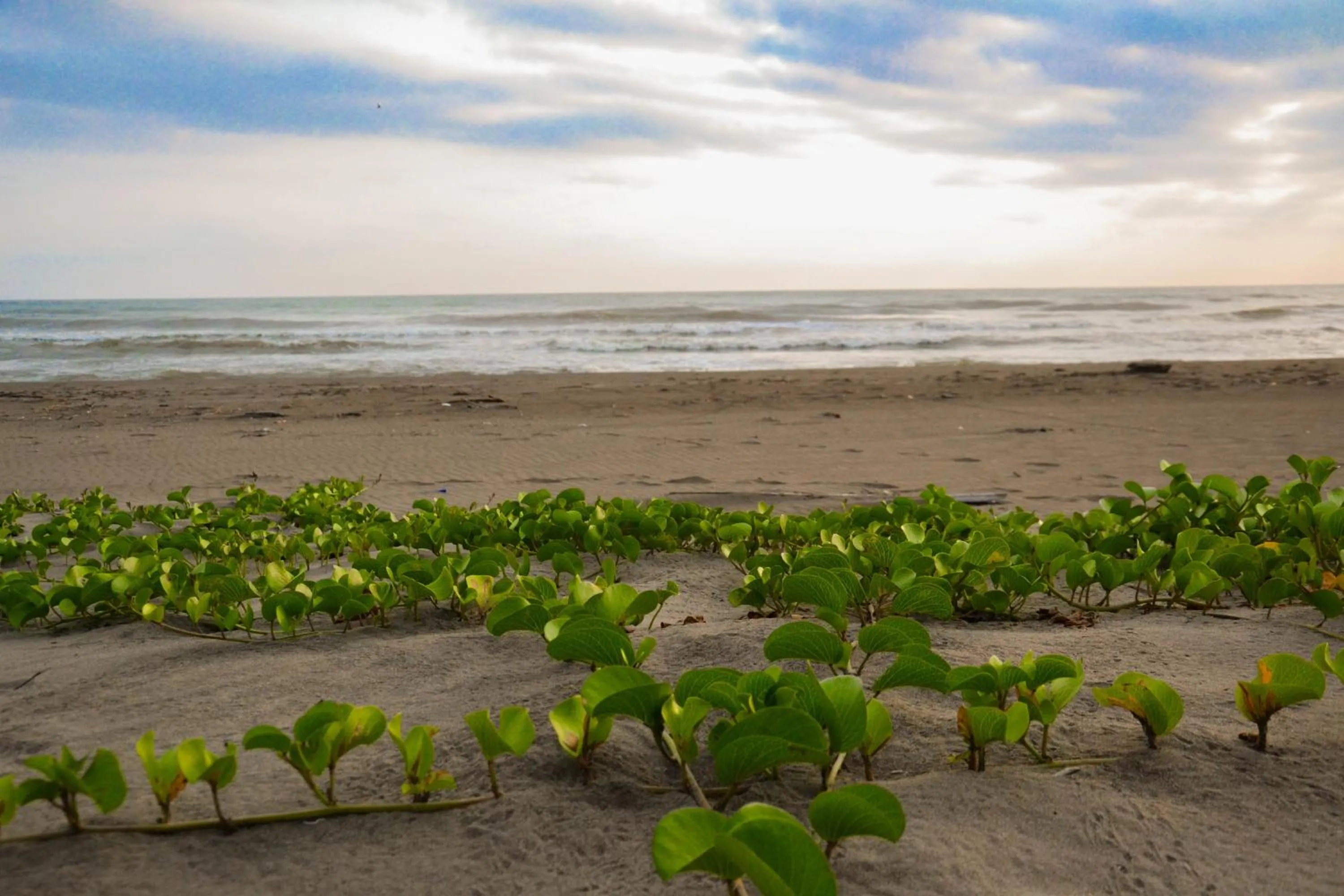 Sea view in Bon Jesus Hotel