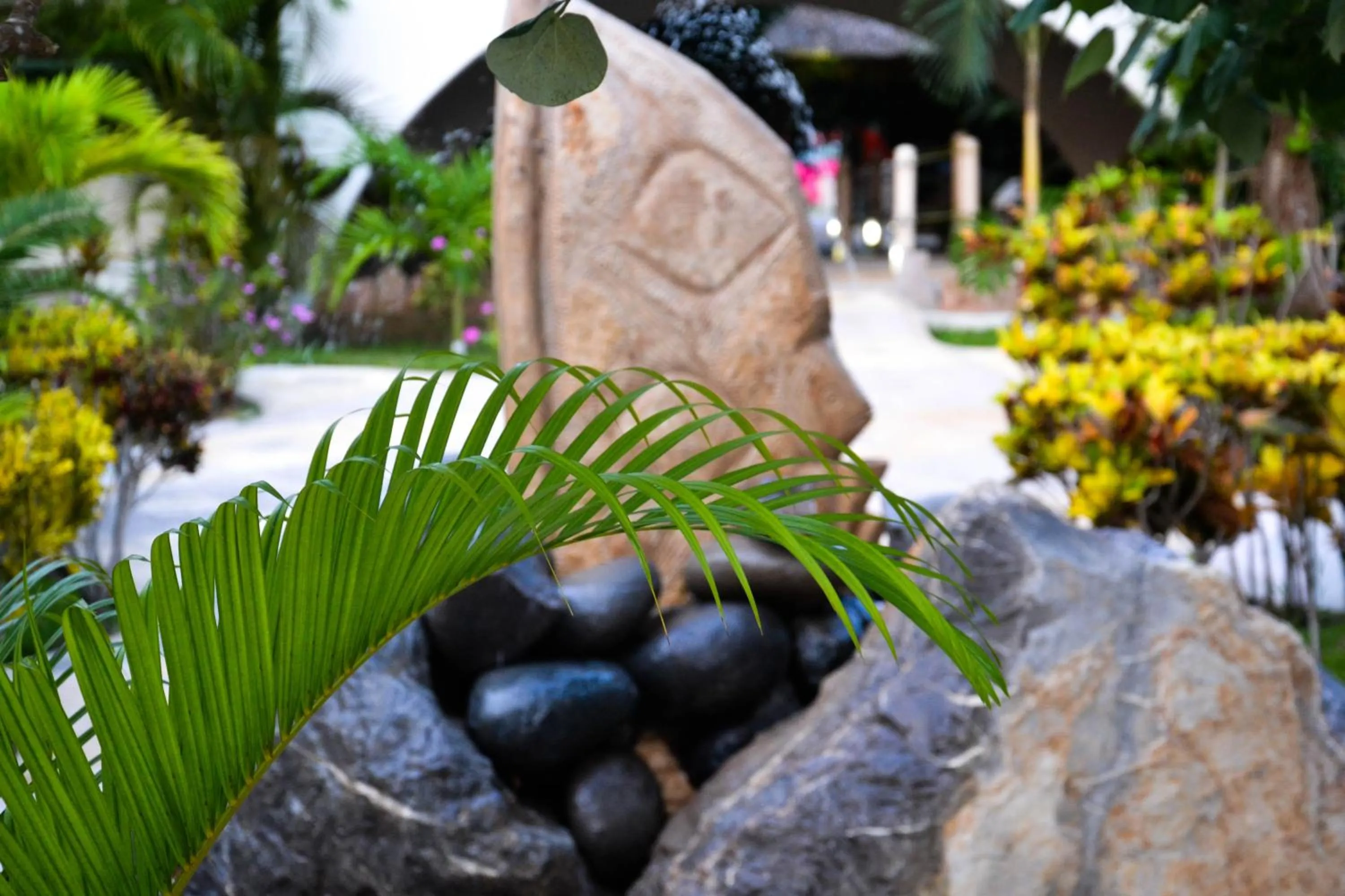 Garden in Bon Jesus Hotel