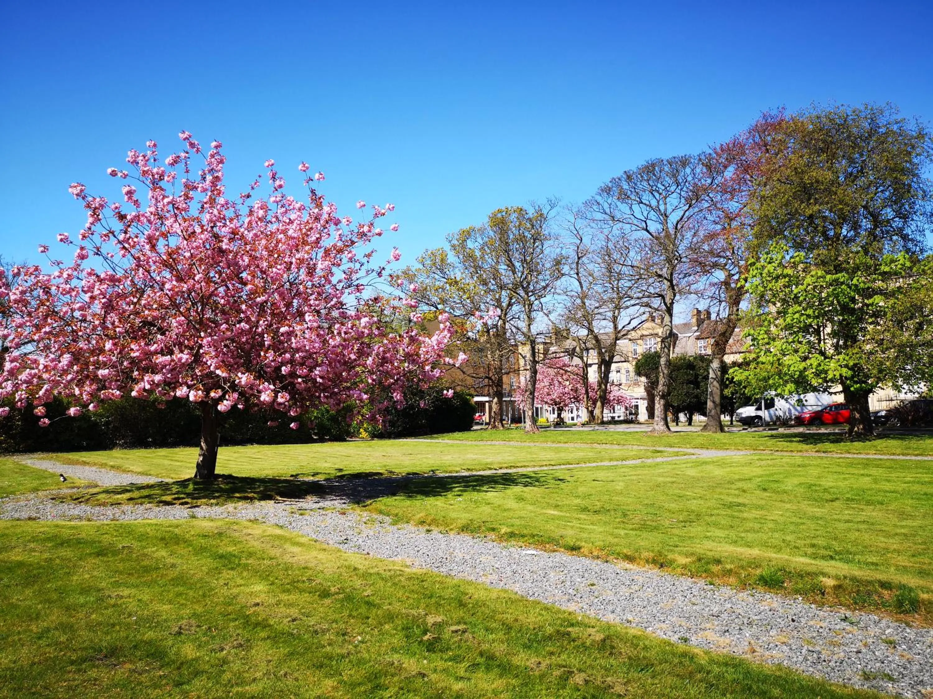 Garden in Endsleigh Park Hotel