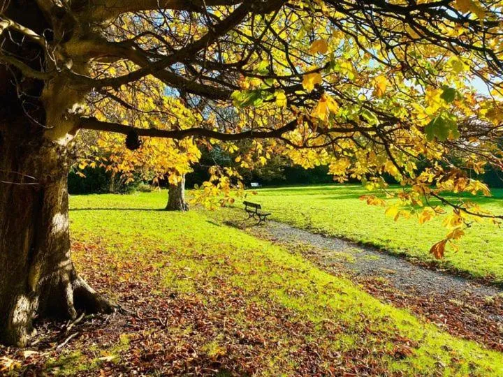 Garden view in Endsleigh Park Hotel