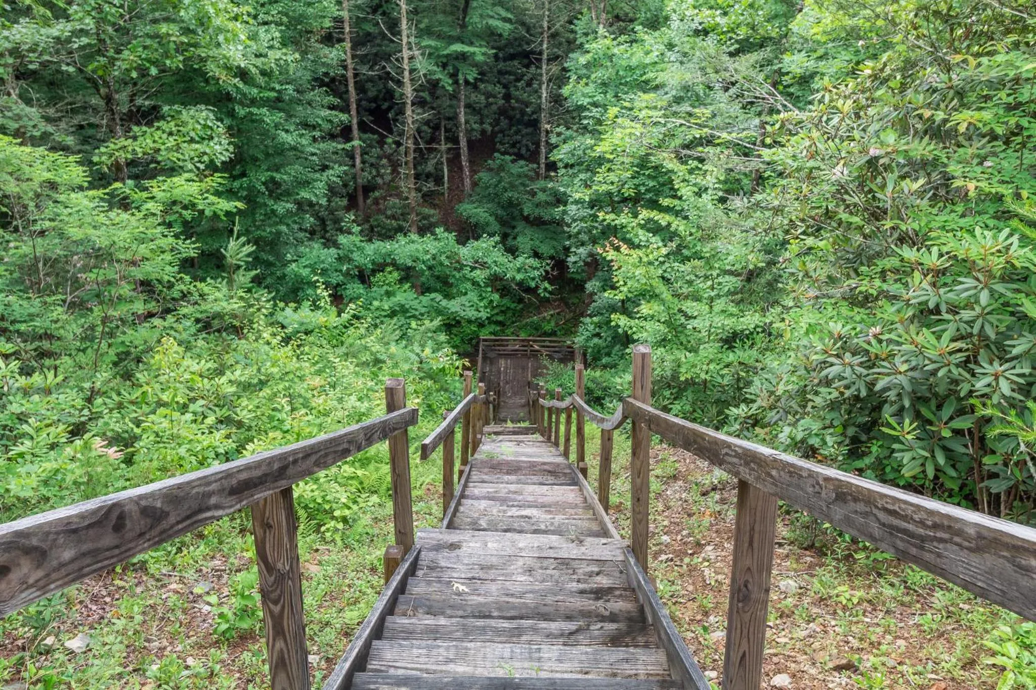 Property building in Cajun Spice