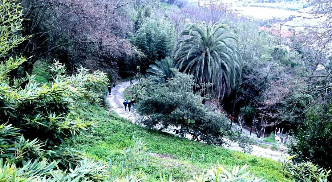 Garden in The italian riviera