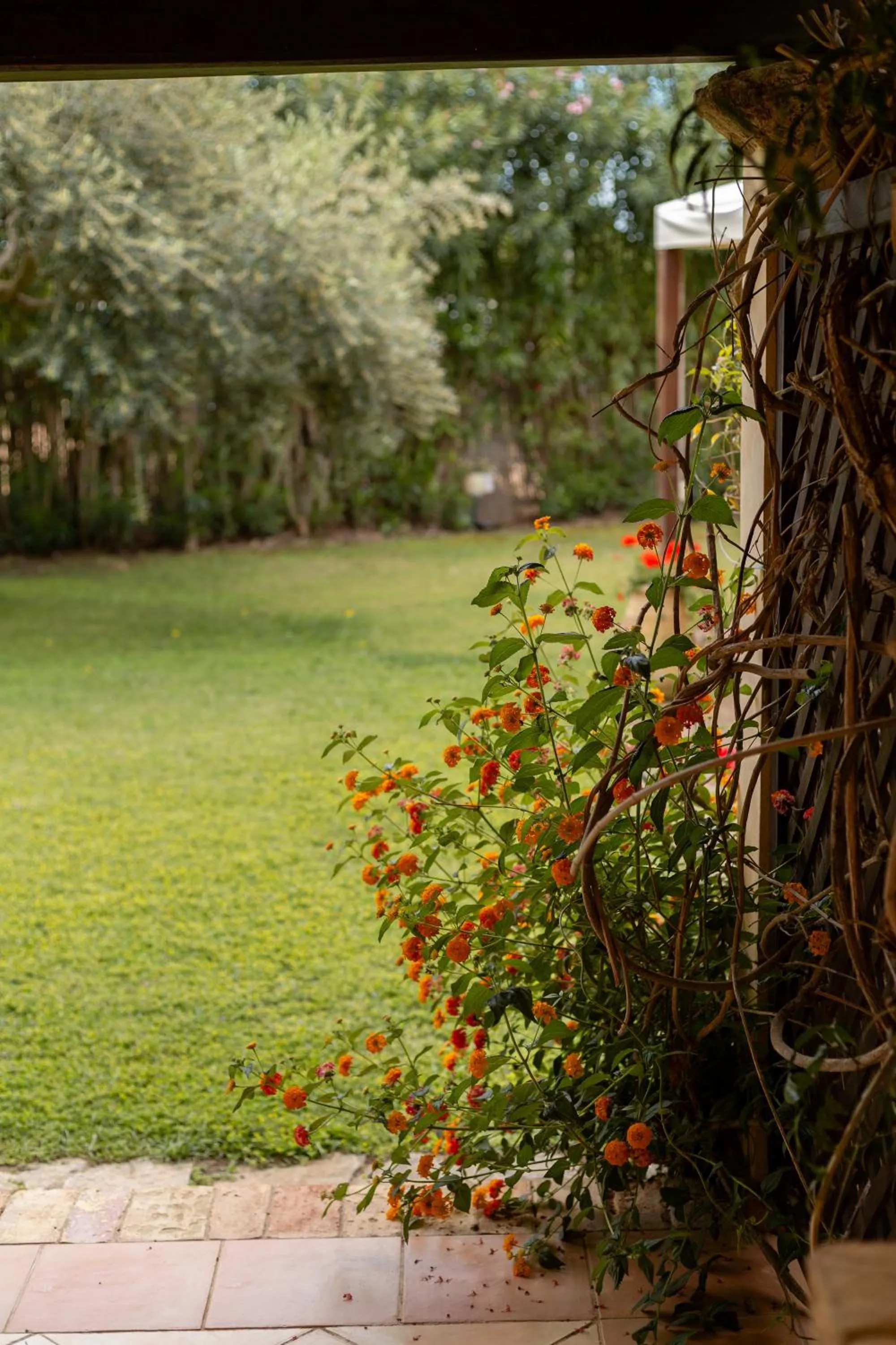 Garden in Porto Giunco Residence