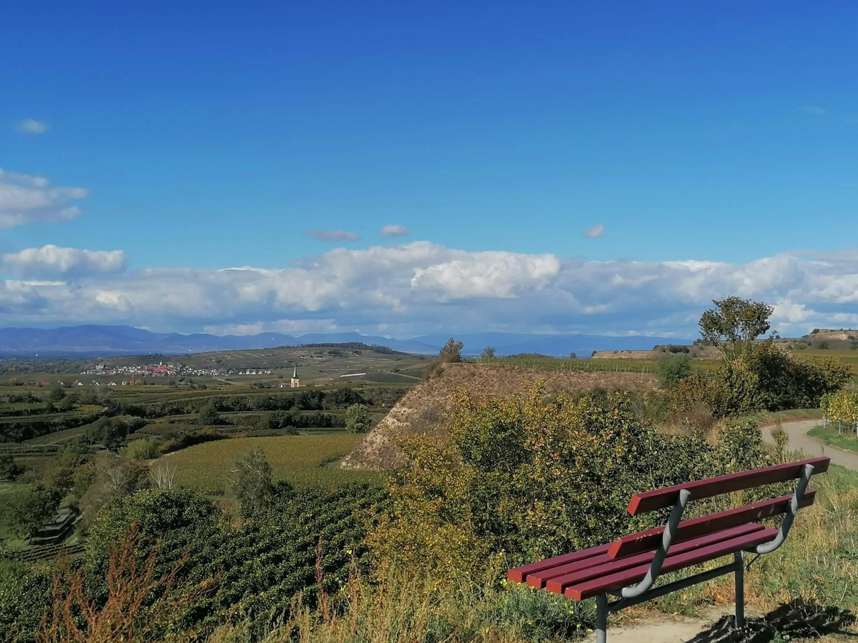 Staff in Hotel-Restaurant Rebstock