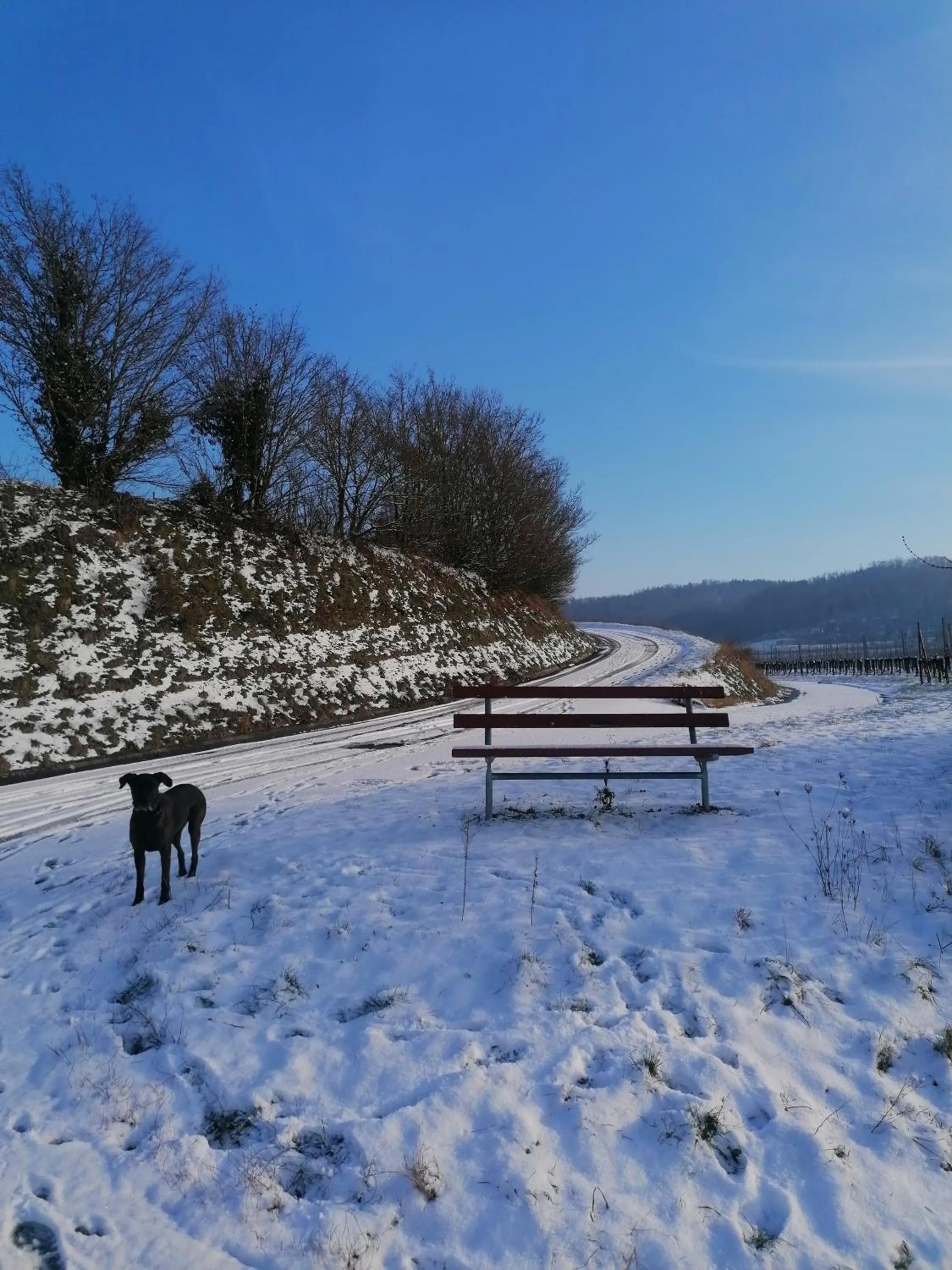 Hiking in Hotel-Restaurant Rebstock