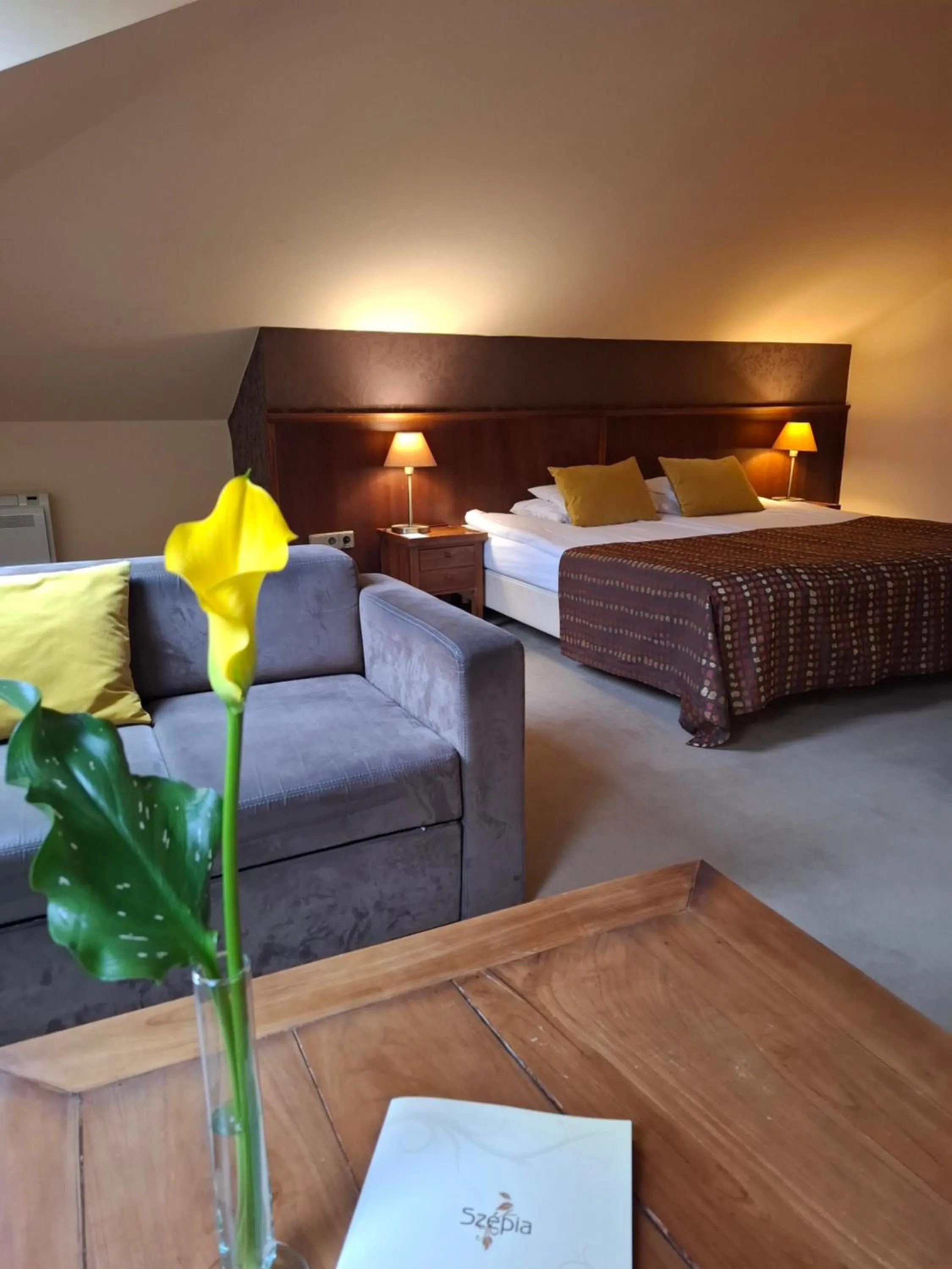 Bed in Szépia Bio and Art Hotel