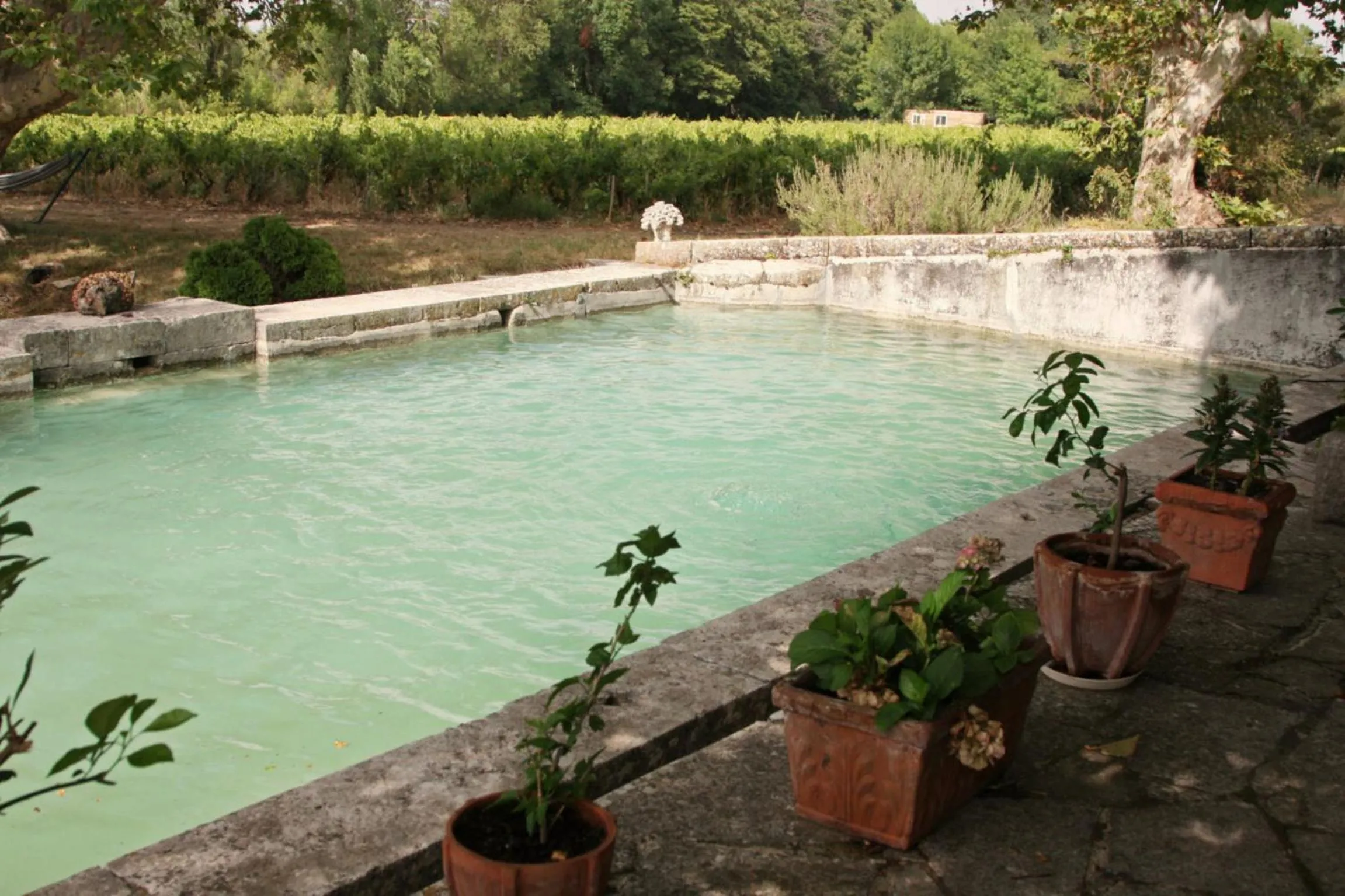 B&B Domaine Le Clos du Pavillon "Authenticité et Ressourcement garantis"