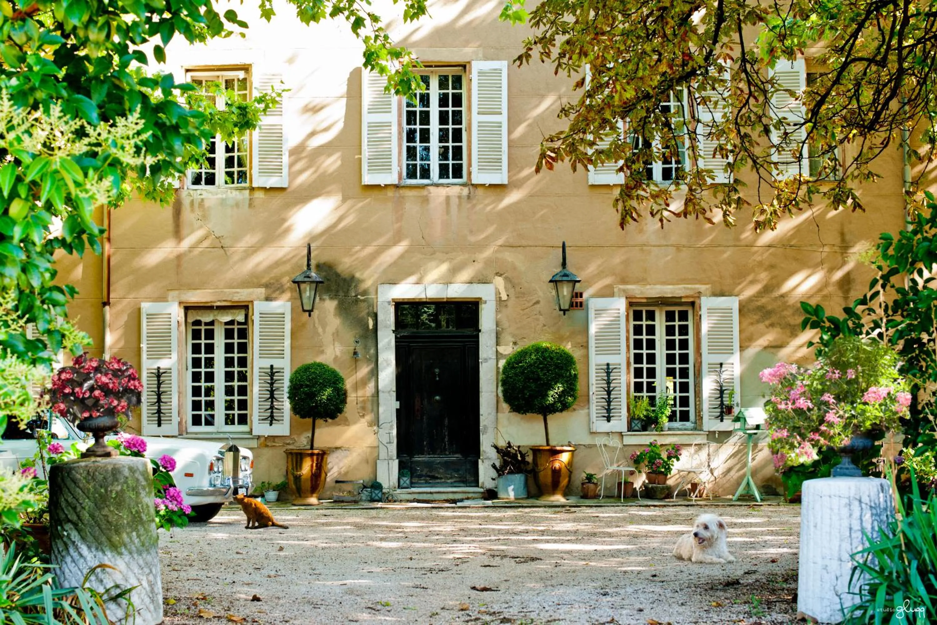 B&B Domaine Le Clos du Pavillon "Authenticité et Ressourcement garantis"